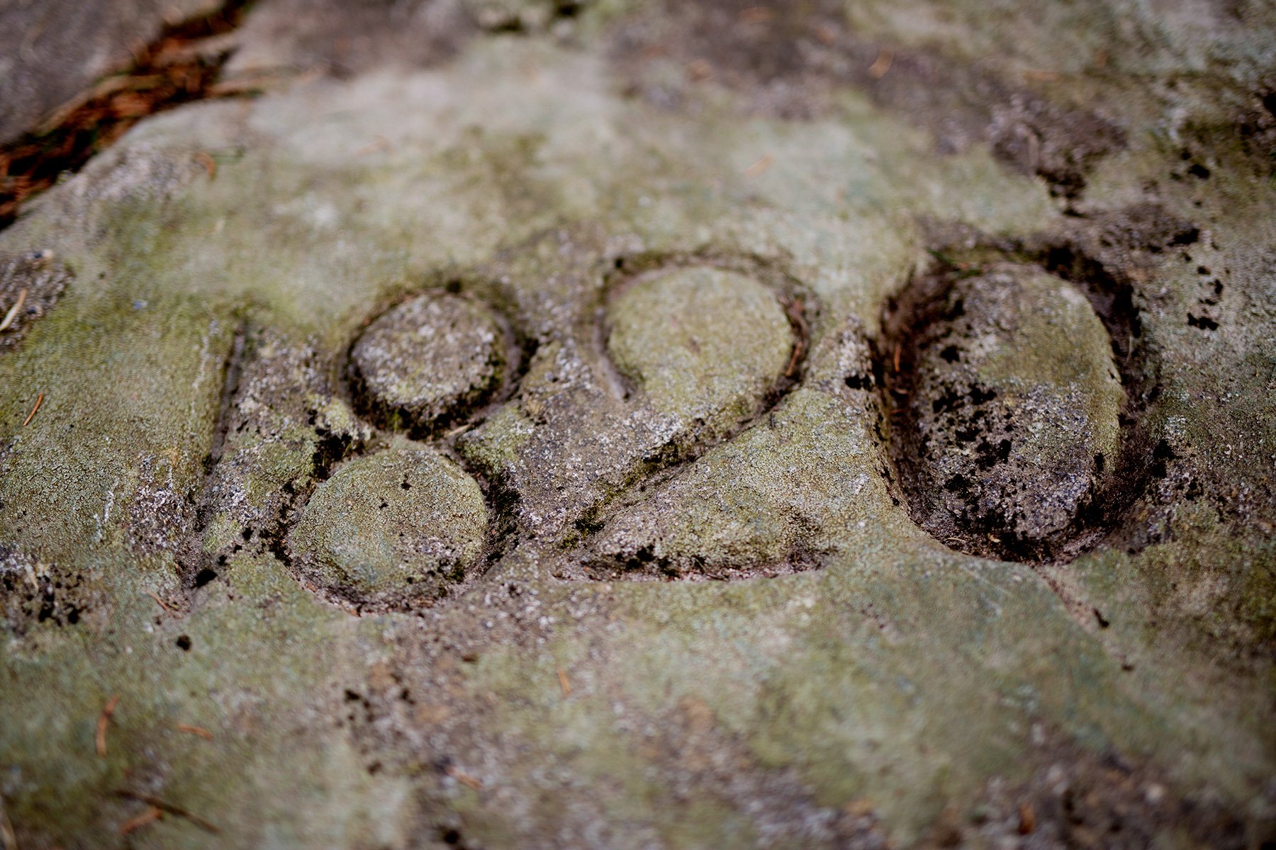 blogg-220412skvaltkvarnar4.jpg
