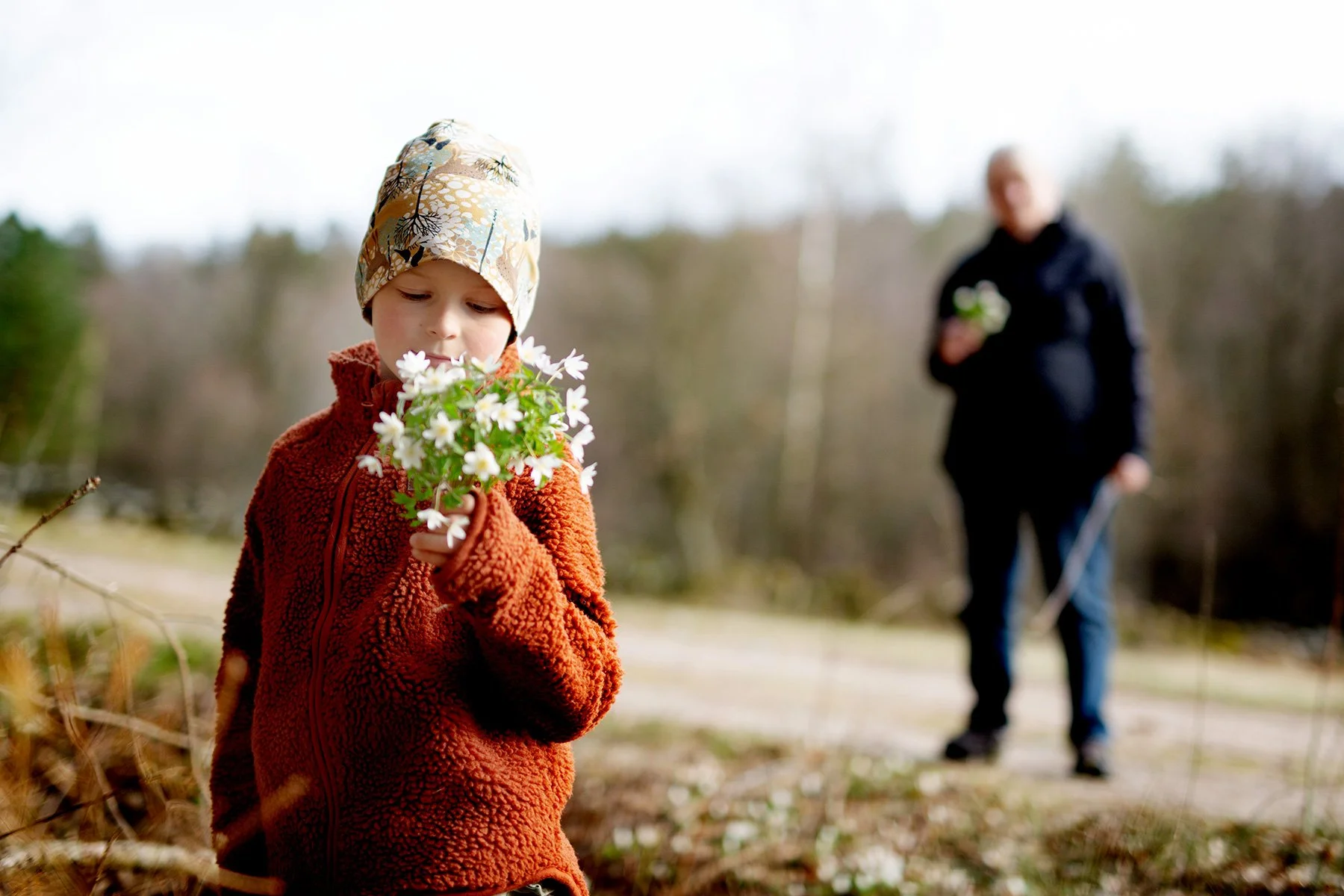 blogg-220412vitsippor10.jpg