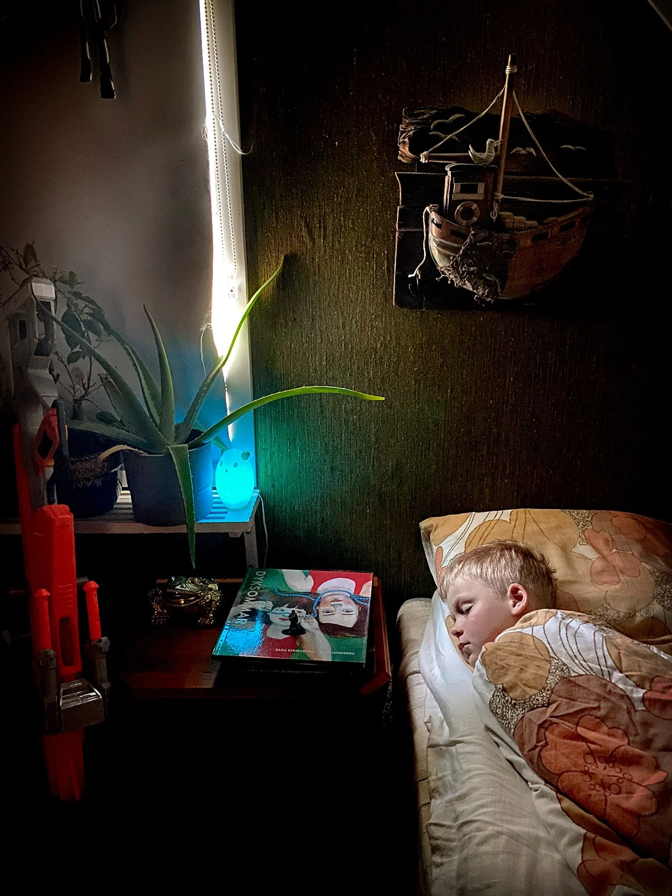 blogg-220419morgonsovbertil2.jpg