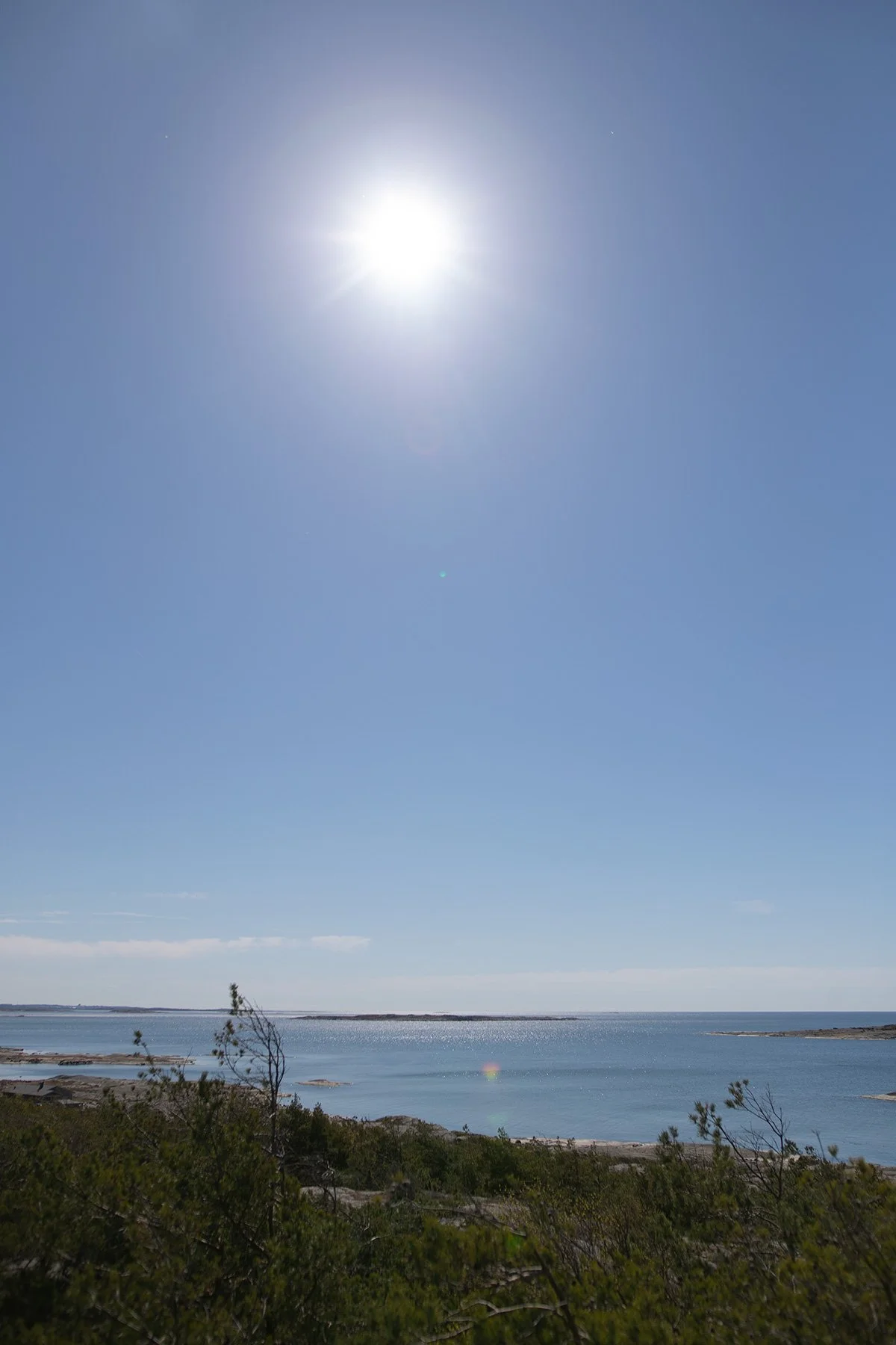 blogg-220423skyttevarnet16.jpg