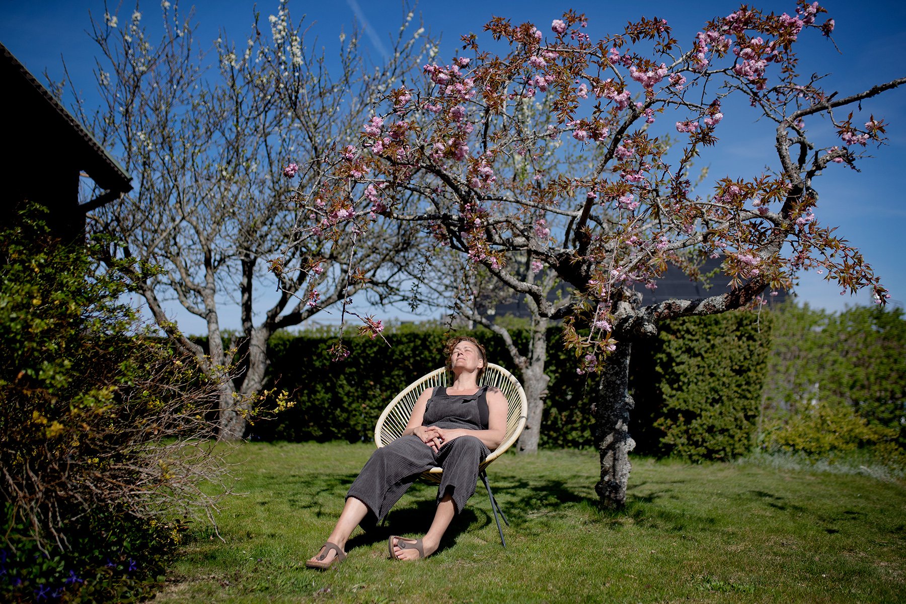 blogg-220504tradgarden26.jpg