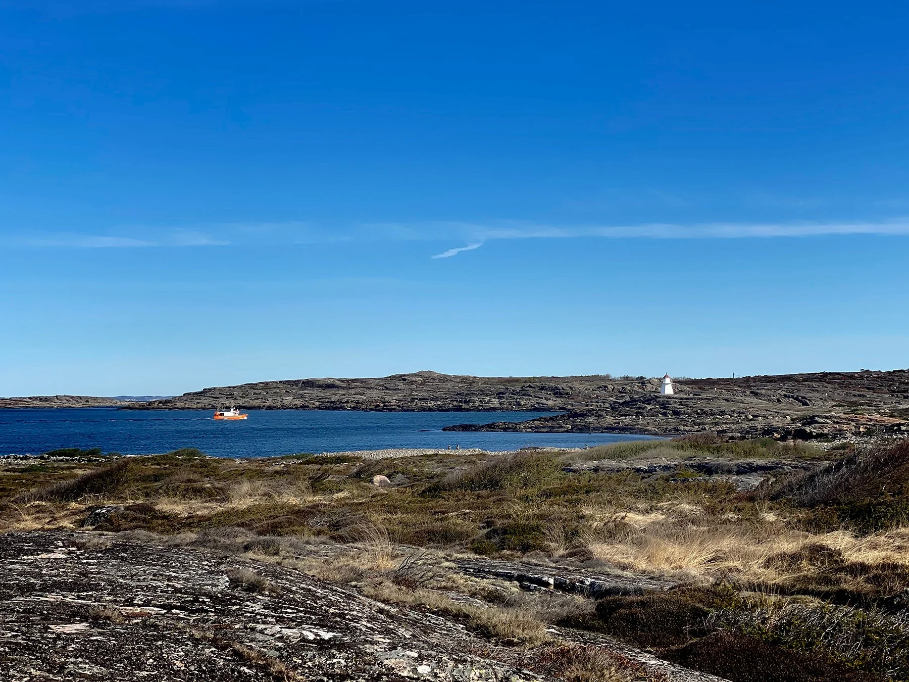 blogg-220503morgonpromenad6.jpg