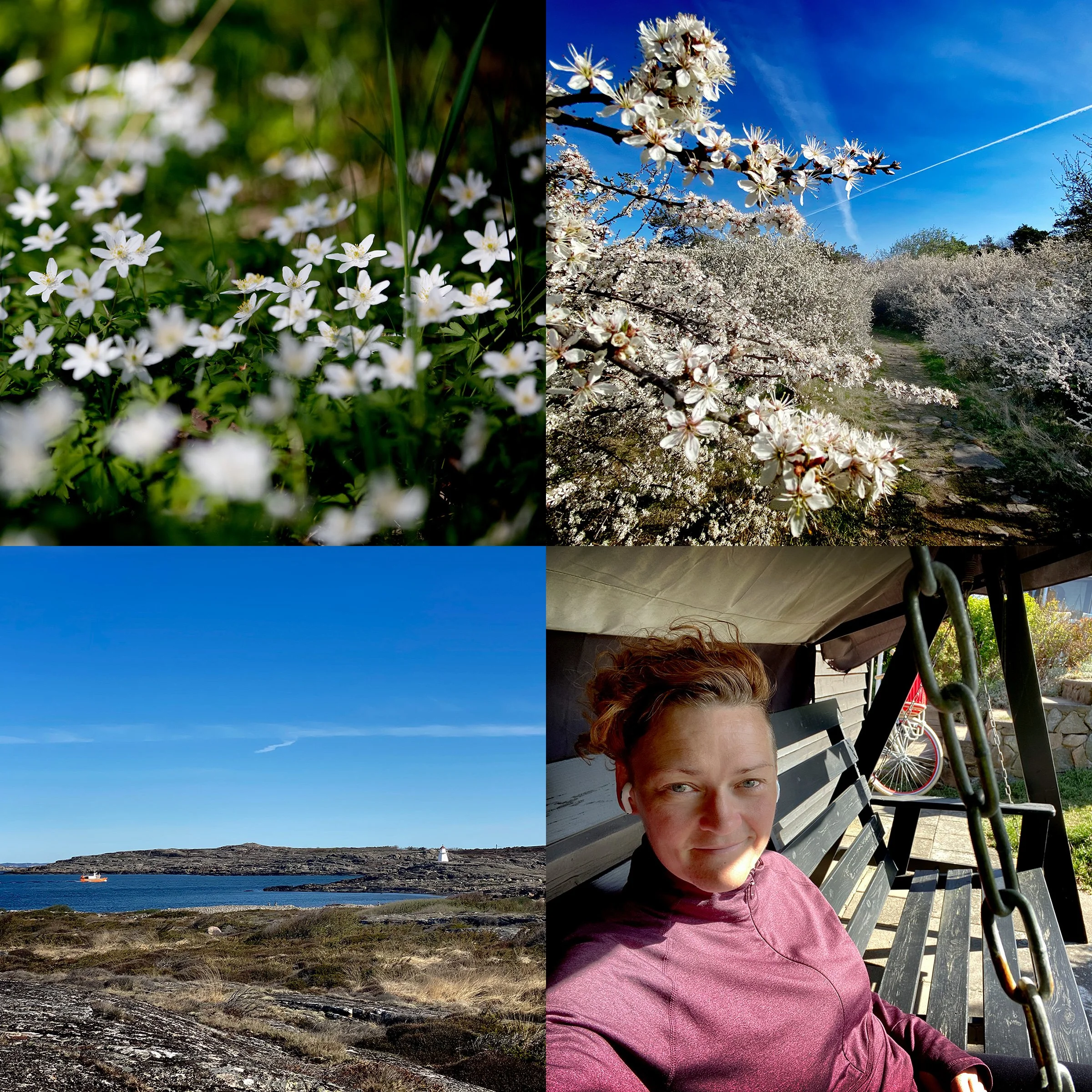 Morgonpromenad
