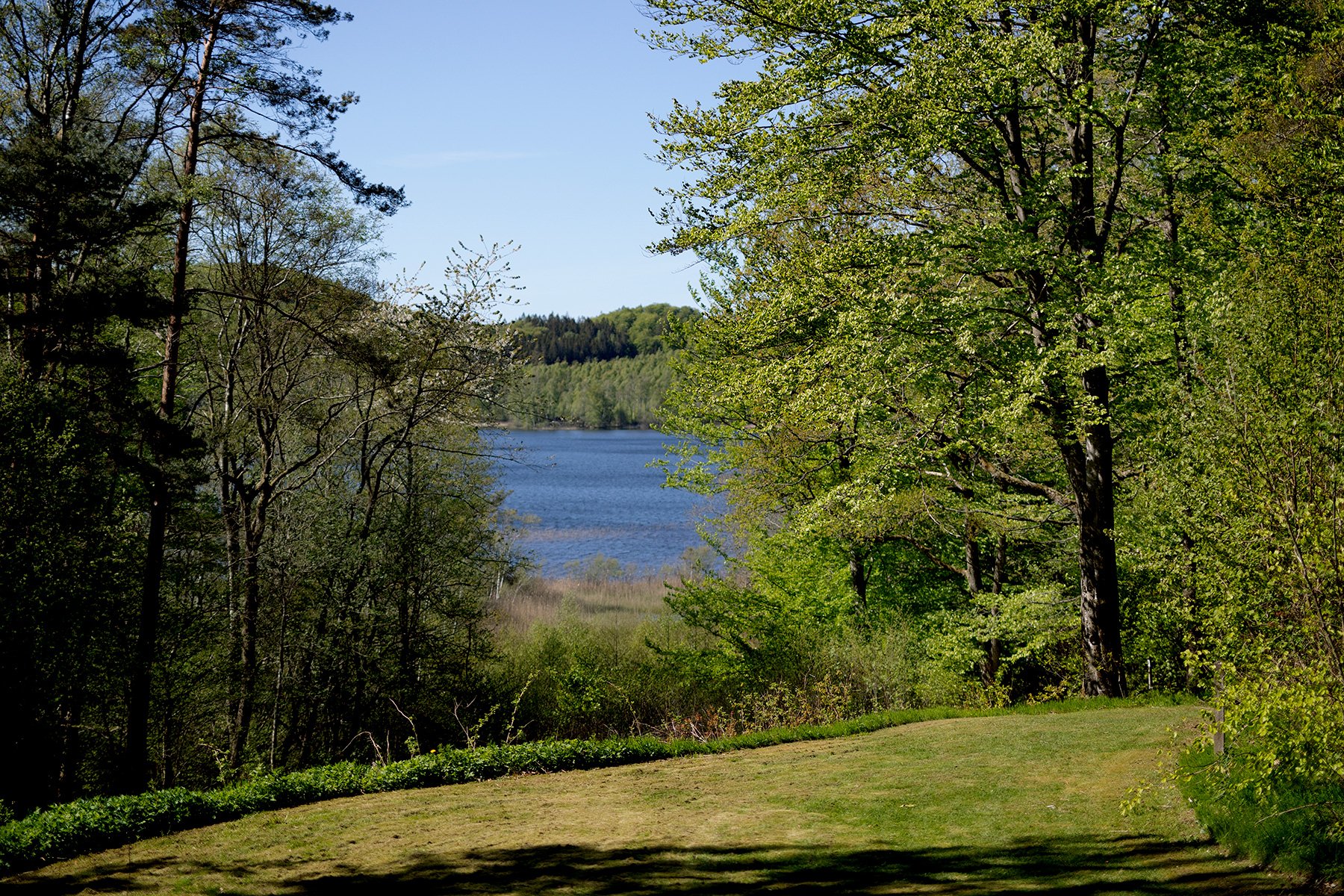 blogg-220515bjorkasjo50.jpg