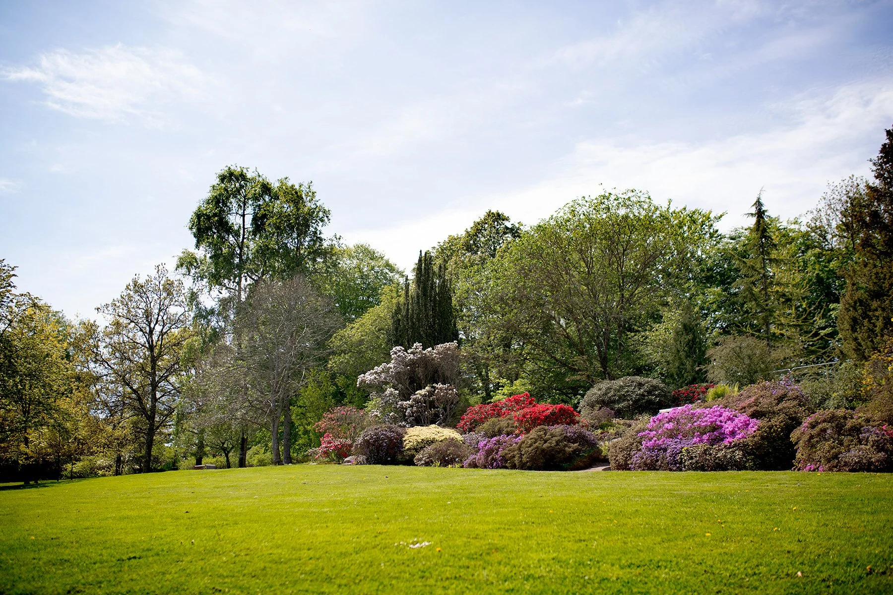 blogg-220518botaniska1.jpg