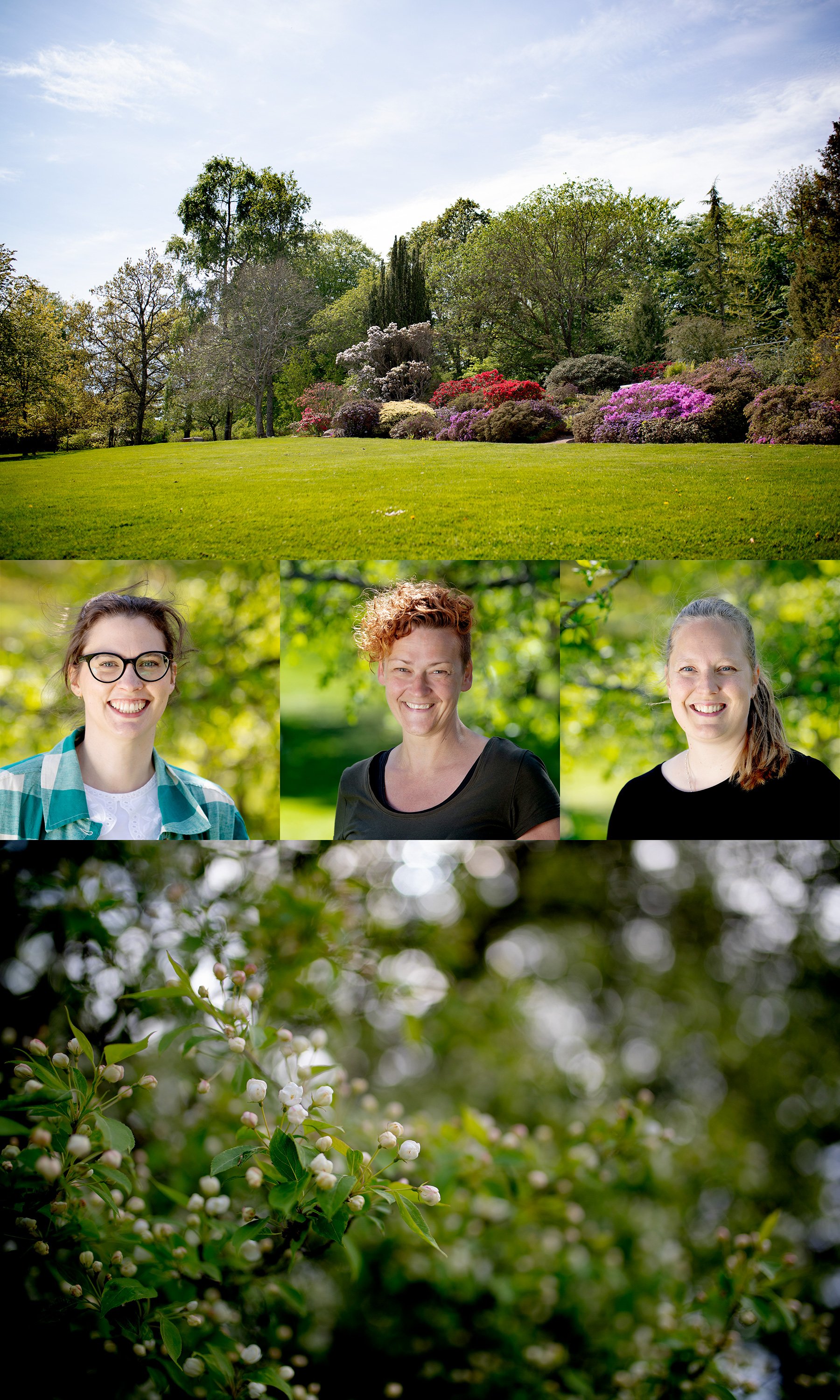 Botaniska