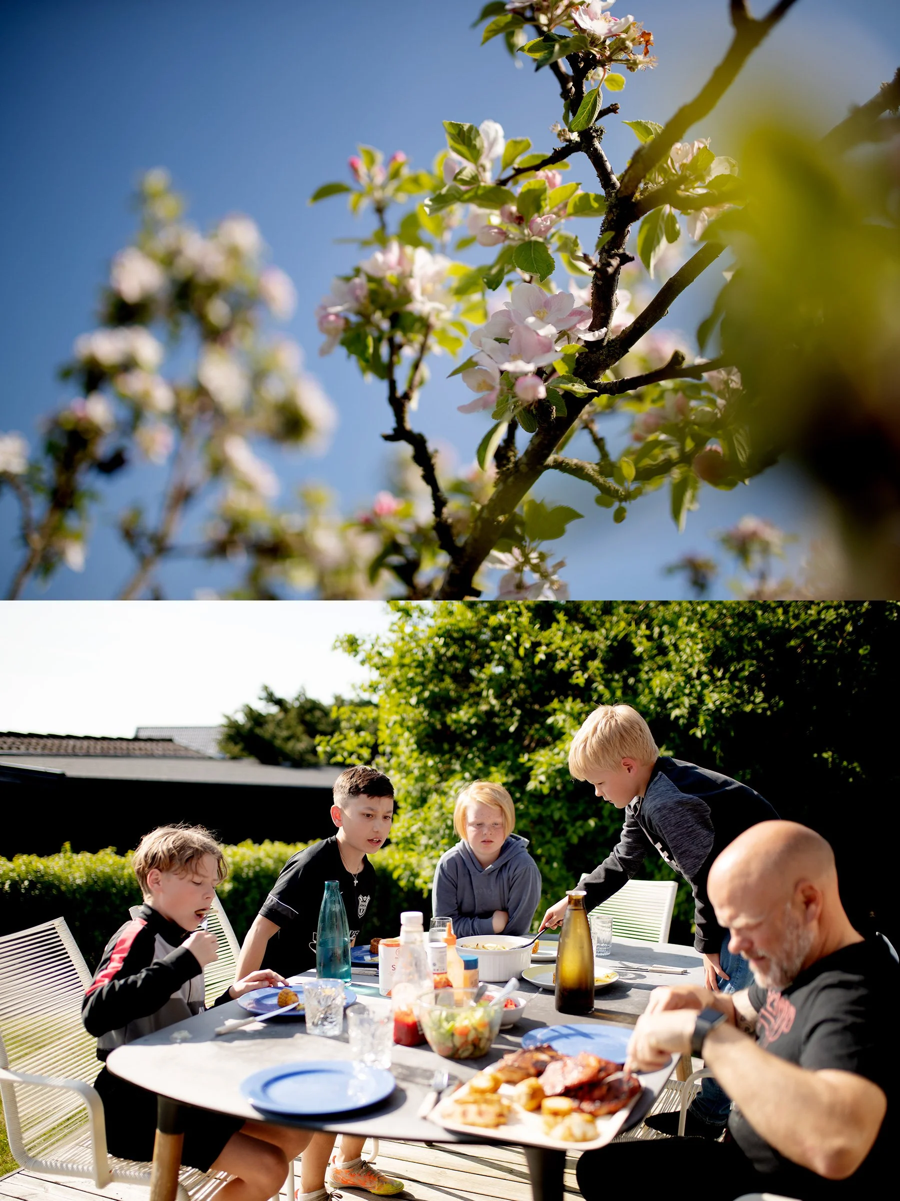 Altanmiddag