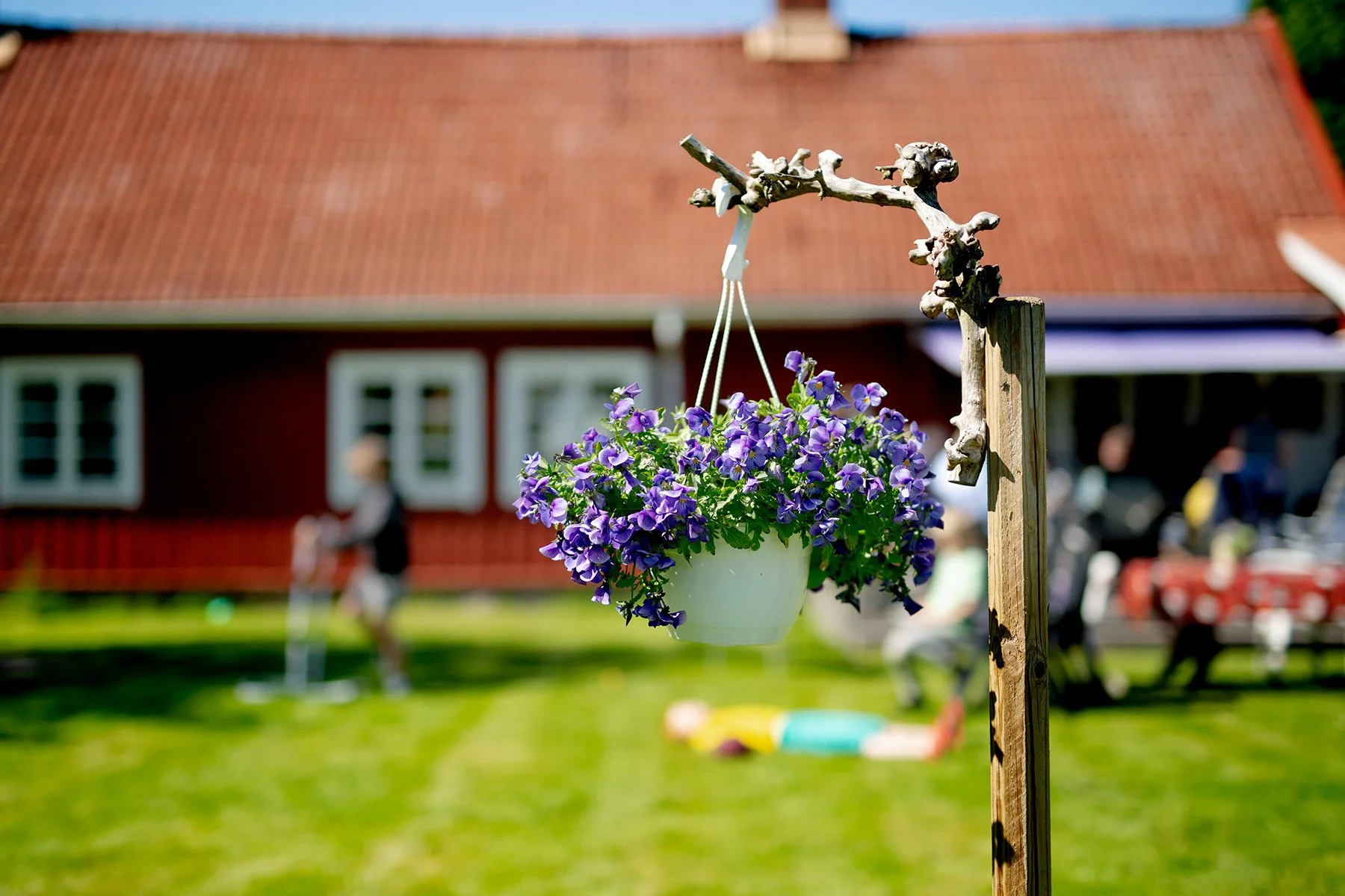 blogg-220529morsdagangarna8.jpg