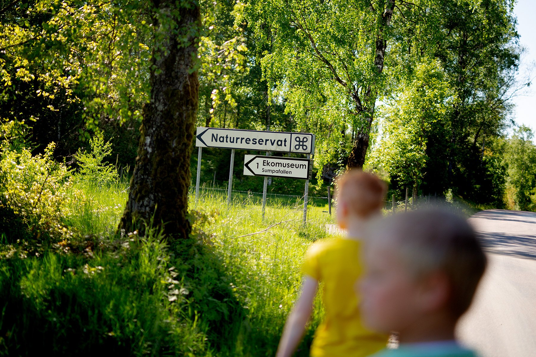 blogg-220529morsdagangarna47.jpg