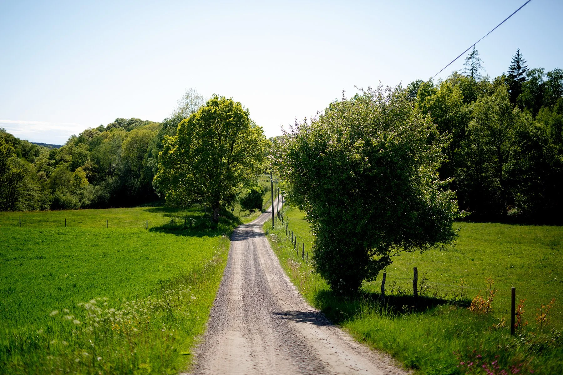blogg-220529morsdagangarna48.jpg