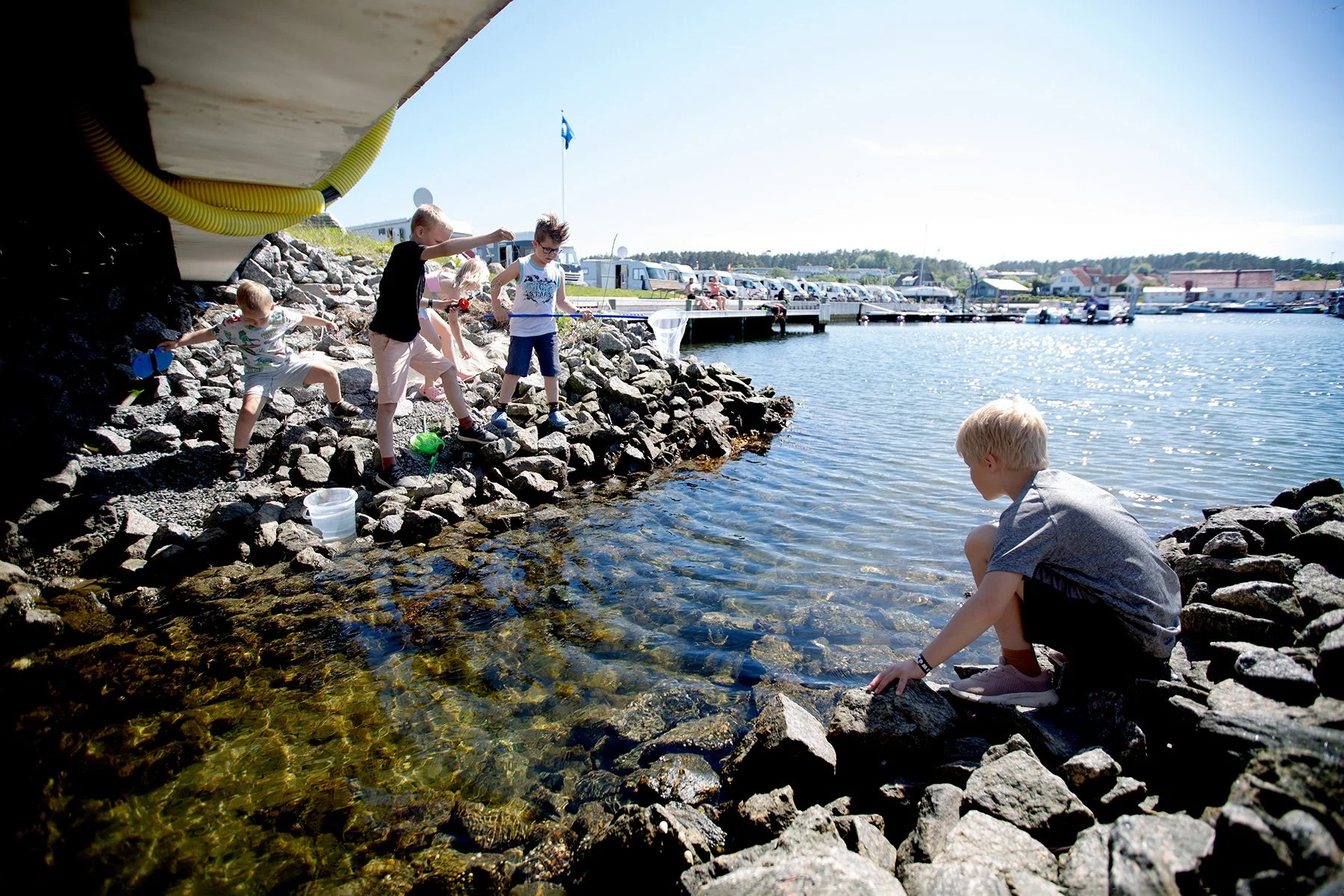 blogg-220605hamndag2.jpg
