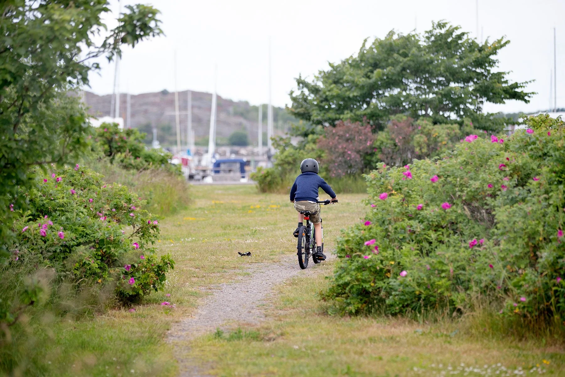 blogg-220620hamnpromenad2.jpg