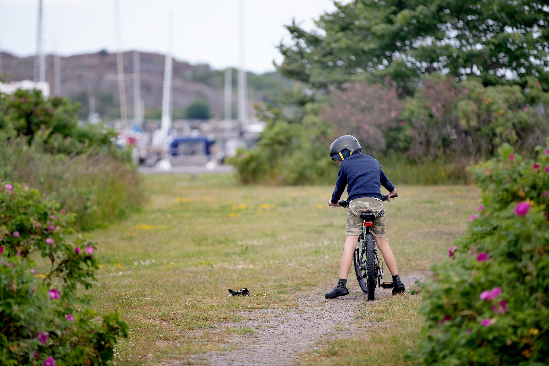 blogg-220620hamnpromenad3.jpg