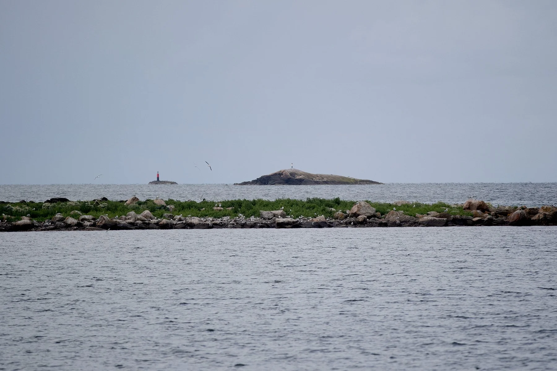 blogg-220620hamnpromenad7.jpg