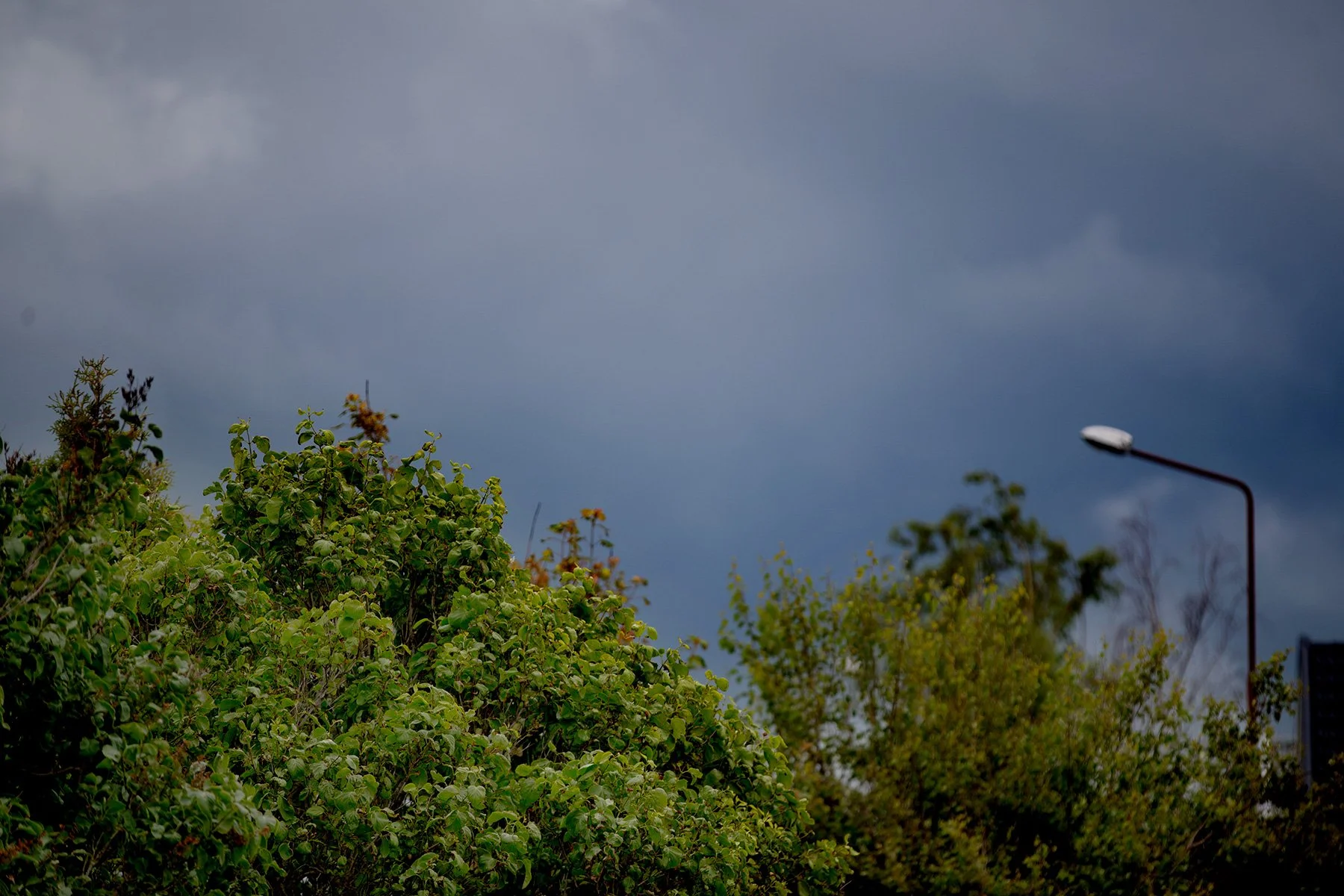 blogg-220620hamnpromenad13.jpg