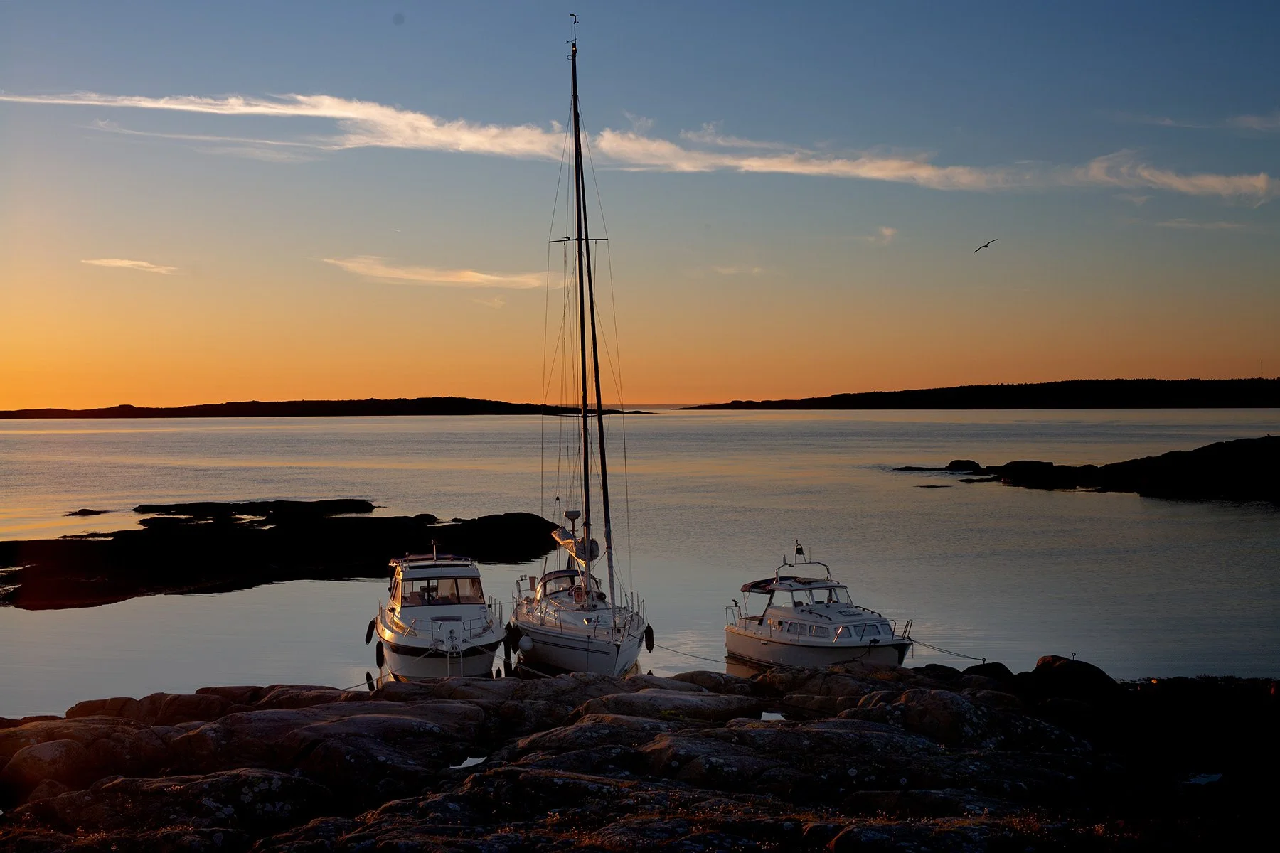 blogg-220623sunnero33.jpg