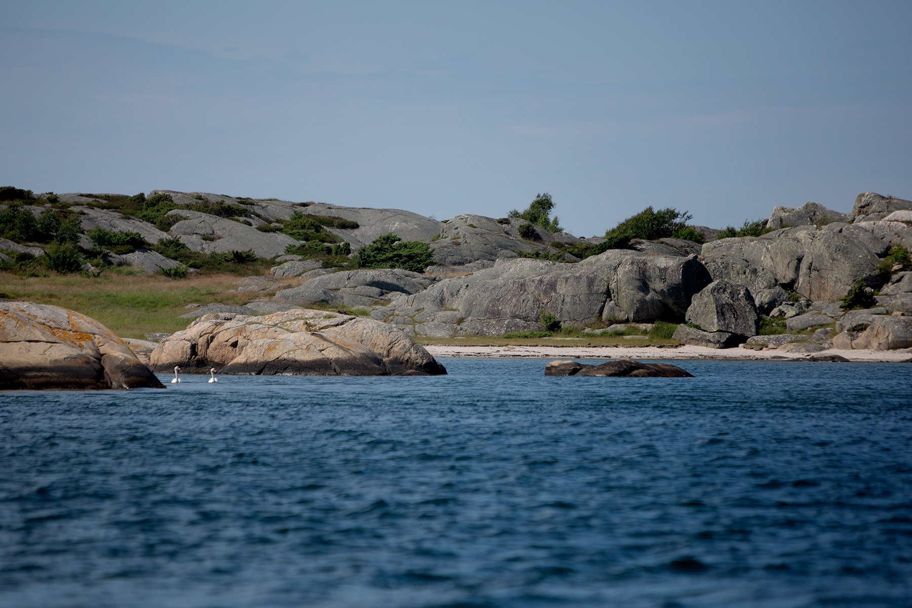 blogg-220701tillroro2.jpg