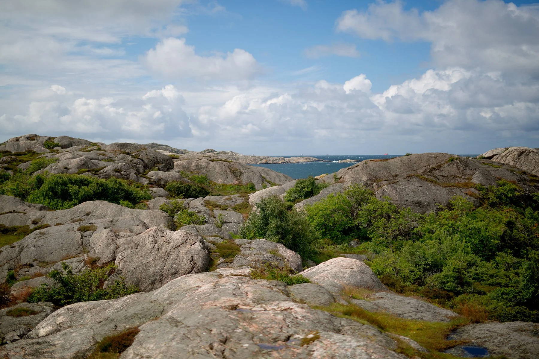 blogg-220705skarhamn1.jpg