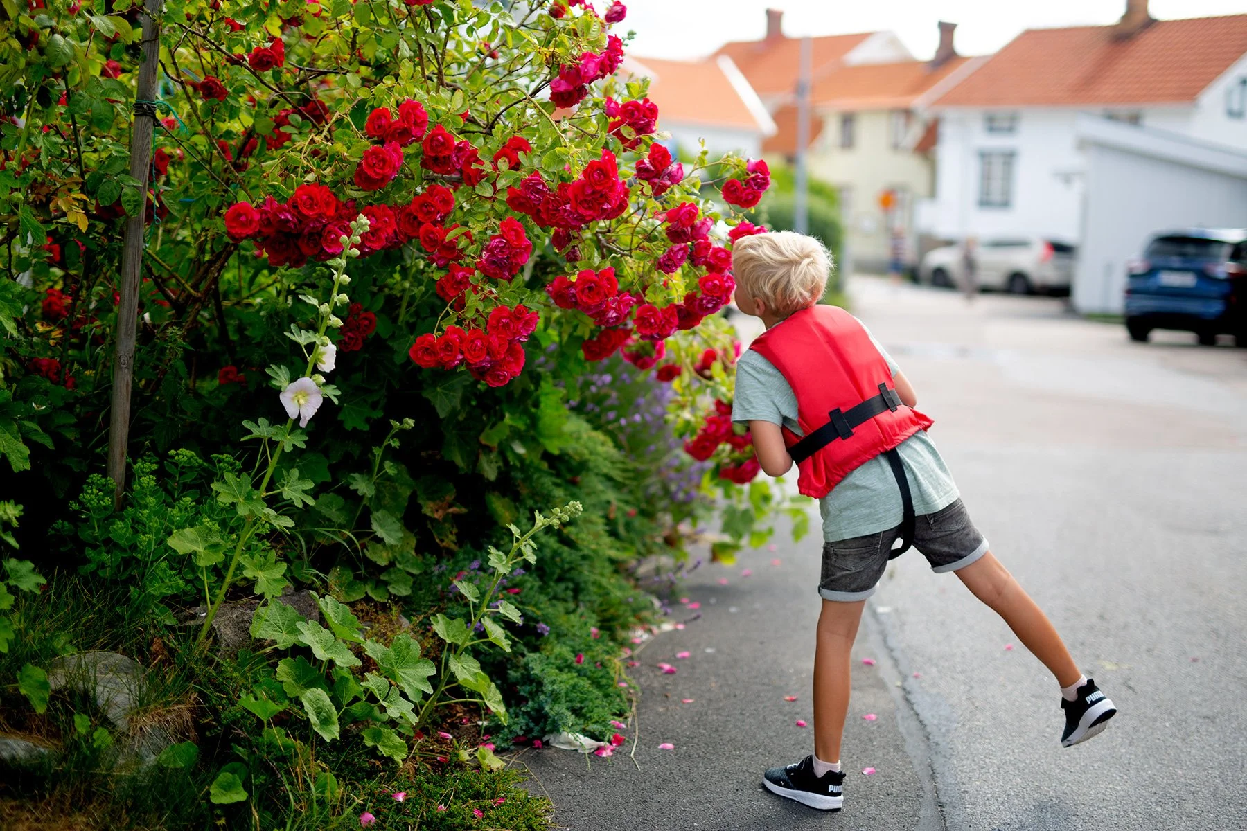 blogg-220708mollosundmorgon5.jpg