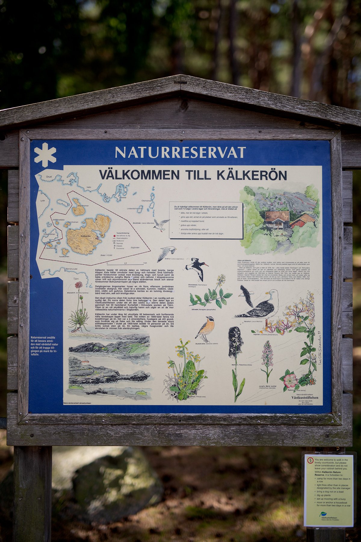 blogg-220711kalkeron5.jpg