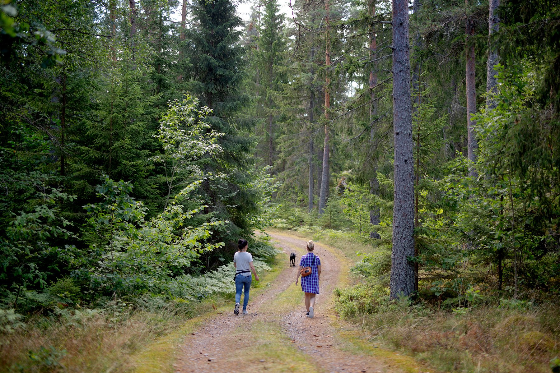blogg-220724torpet-2-11.jpg