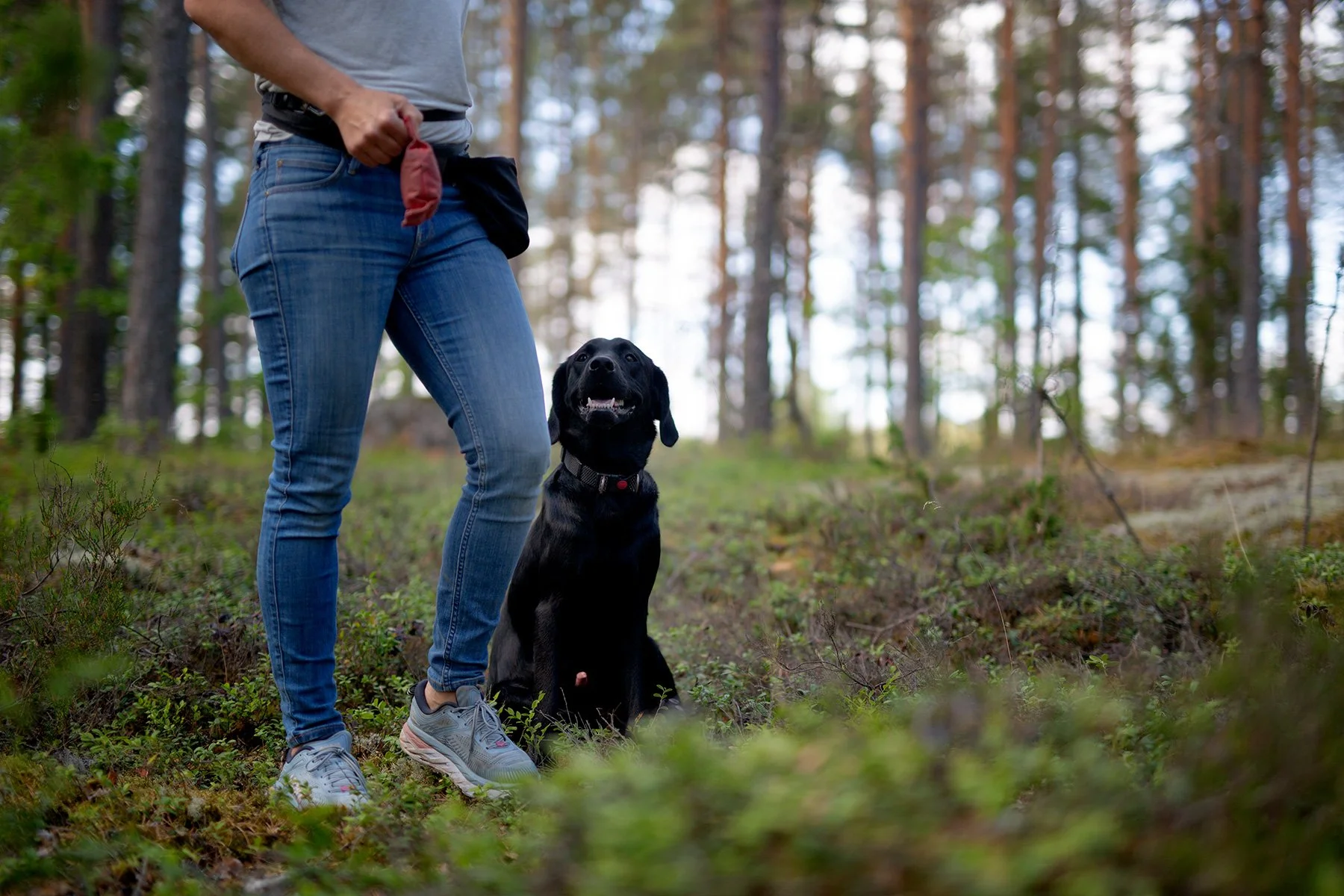 blogg-220724torpet-2-14.jpg