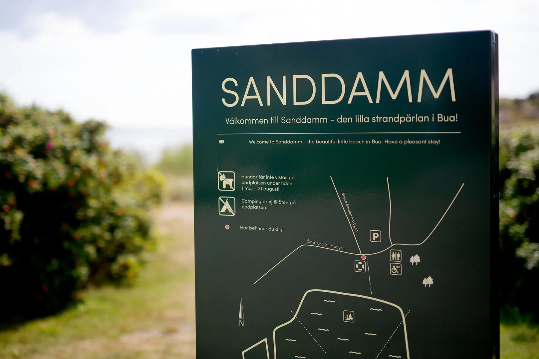 blogg-220729sanddamm2.jpg