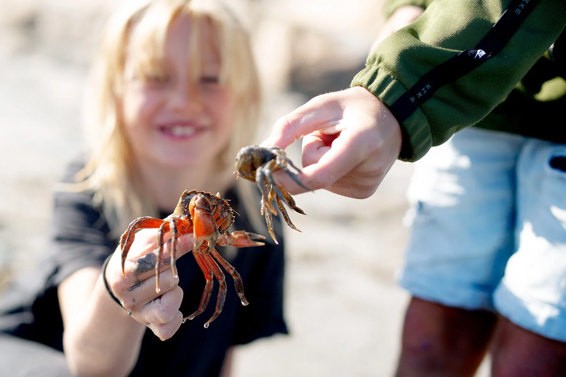 blogg-220729sanddamm26.jpg