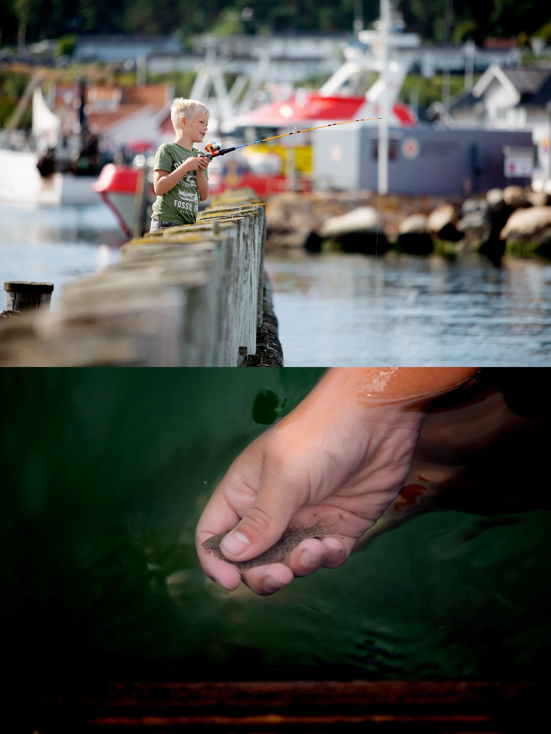 Hamnmorgon