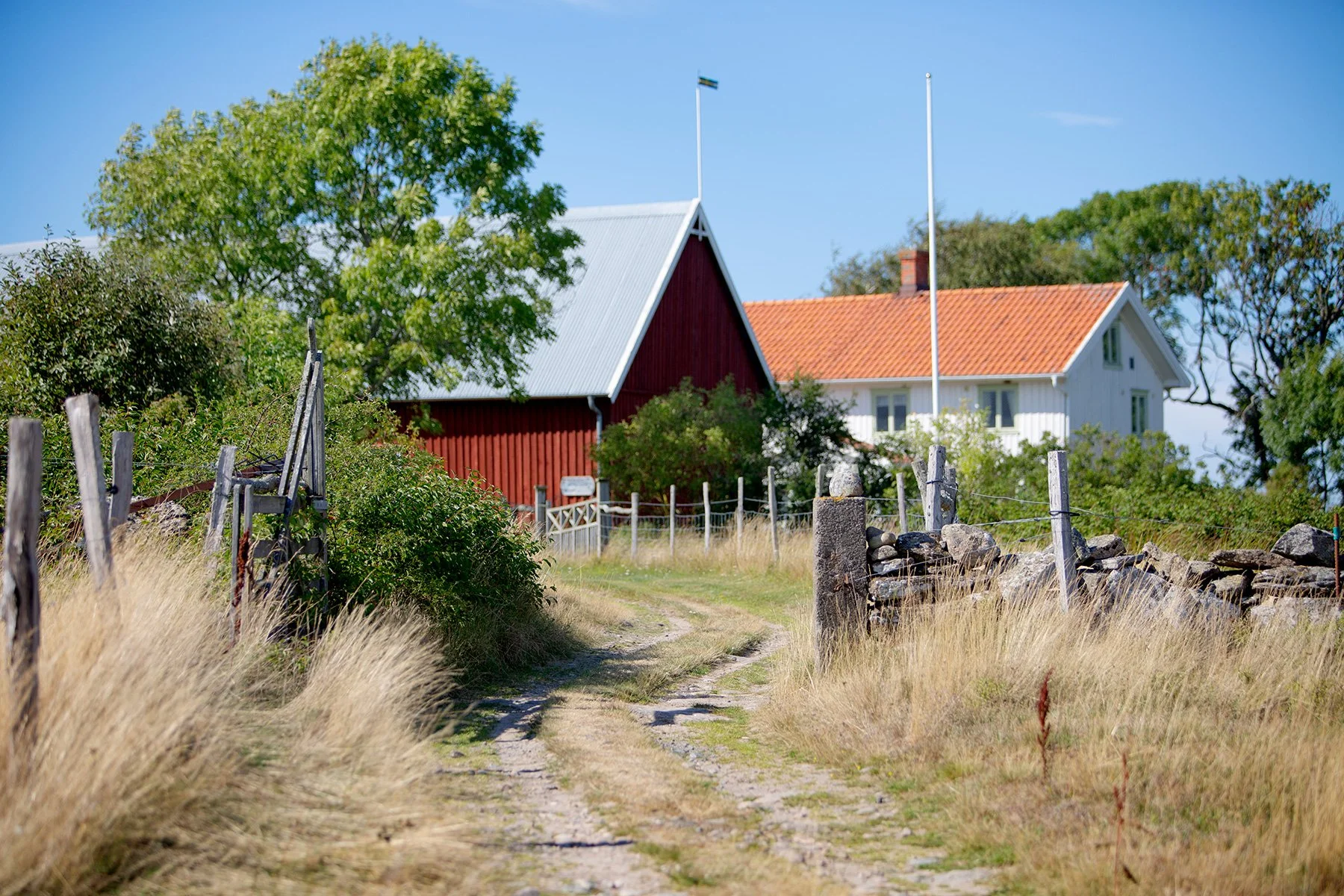 blogg-220810vendelso21.jpg