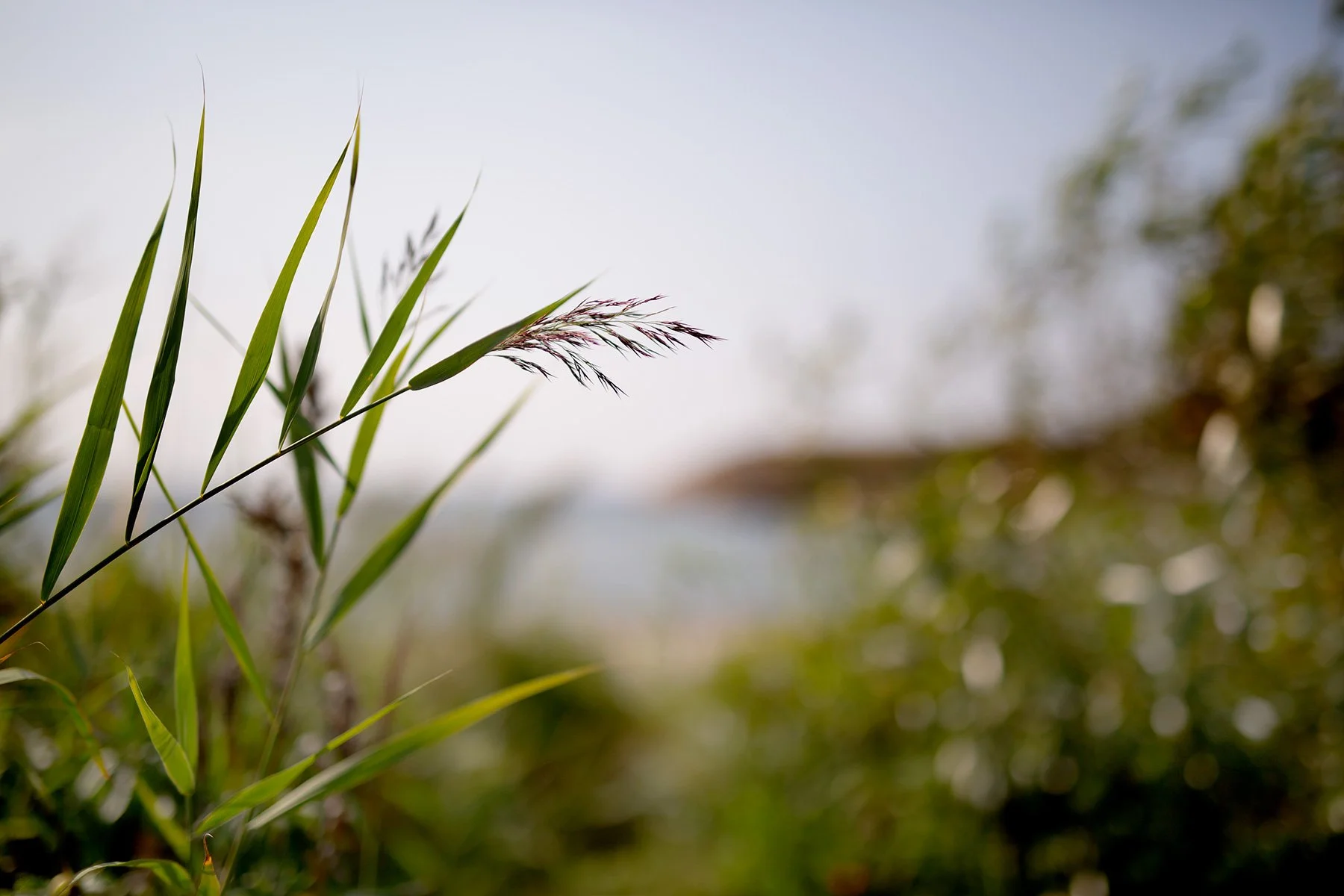 blogg-220815sanddamm3.jpg