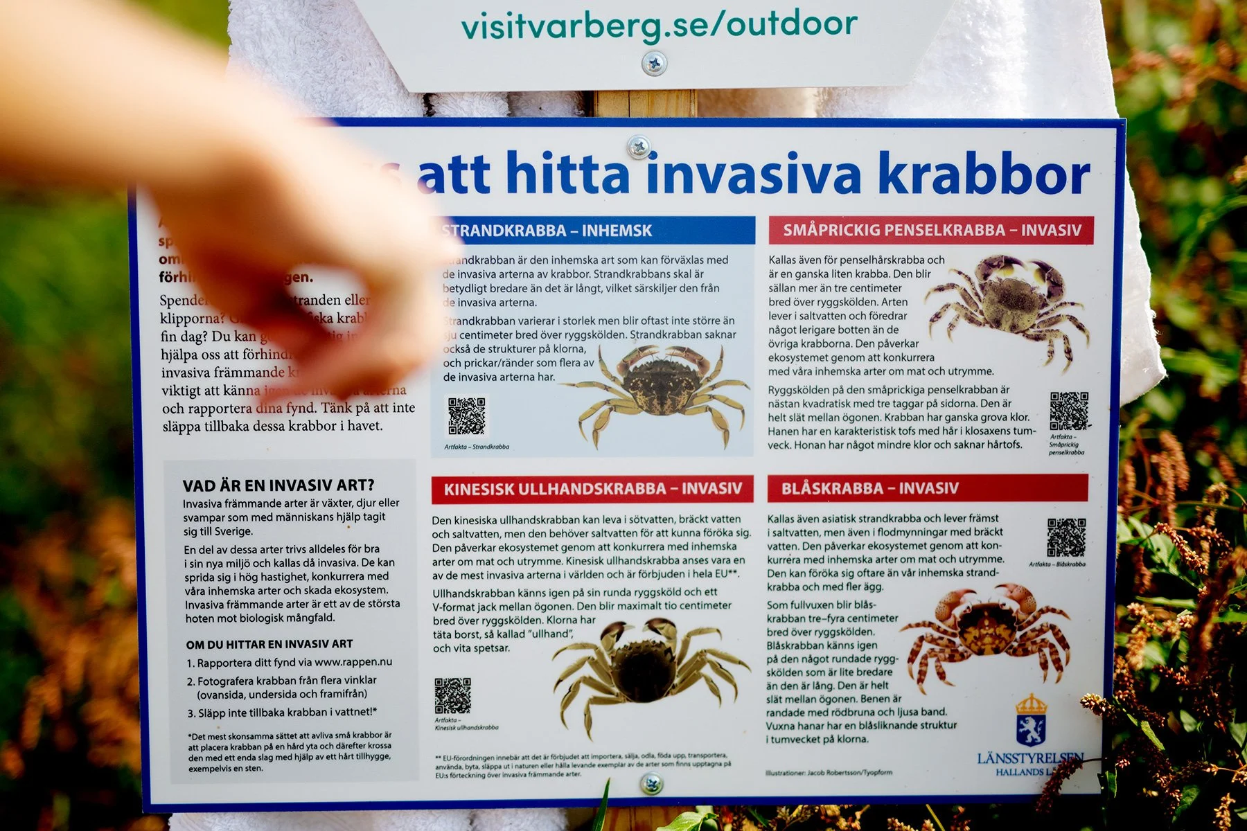 blogg-220815sanddamm13.jpg