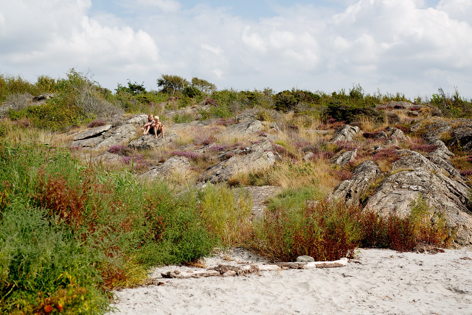 blogg-220815sanddamm28.jpg