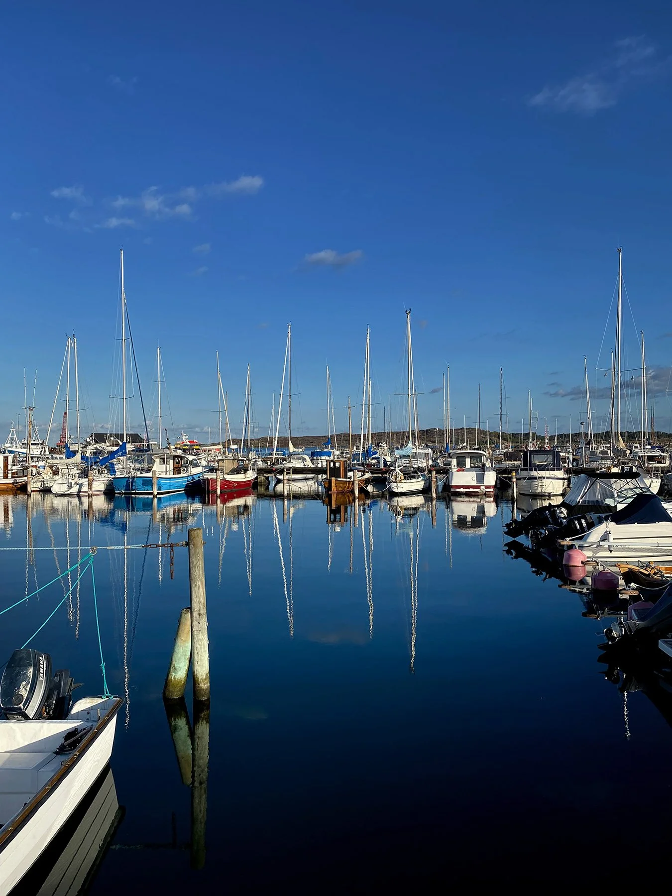 blogg-220821makrillfiskemorgon1.jpg