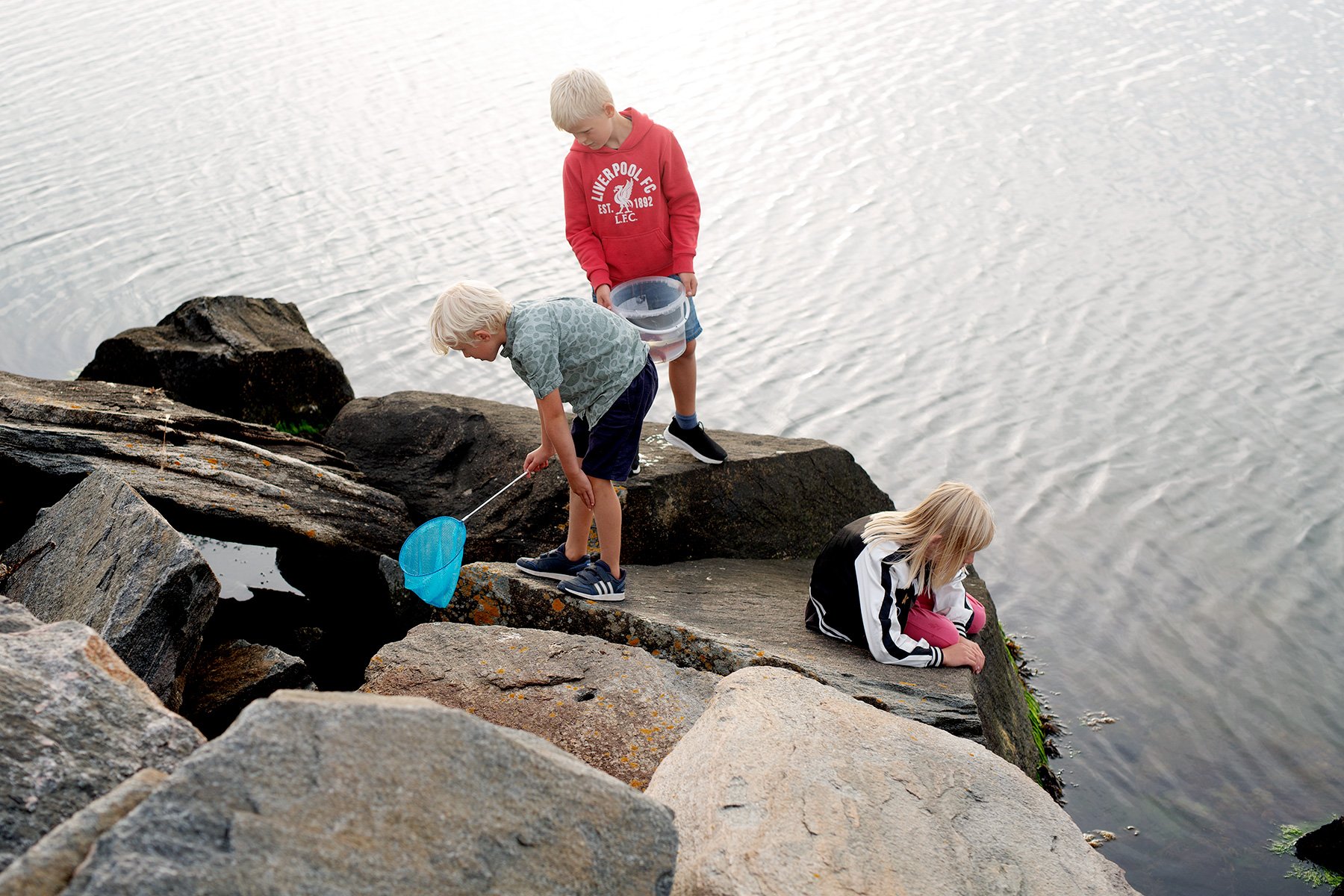 blogg-220827hamnen2.jpg