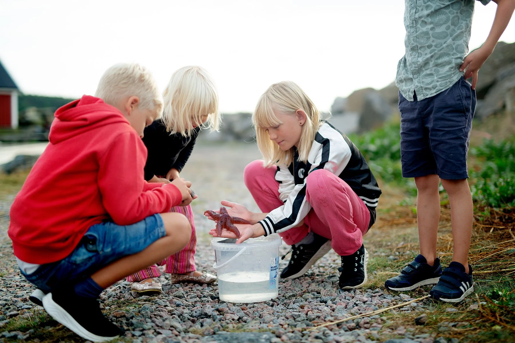blogg-220827hamnen4.jpg