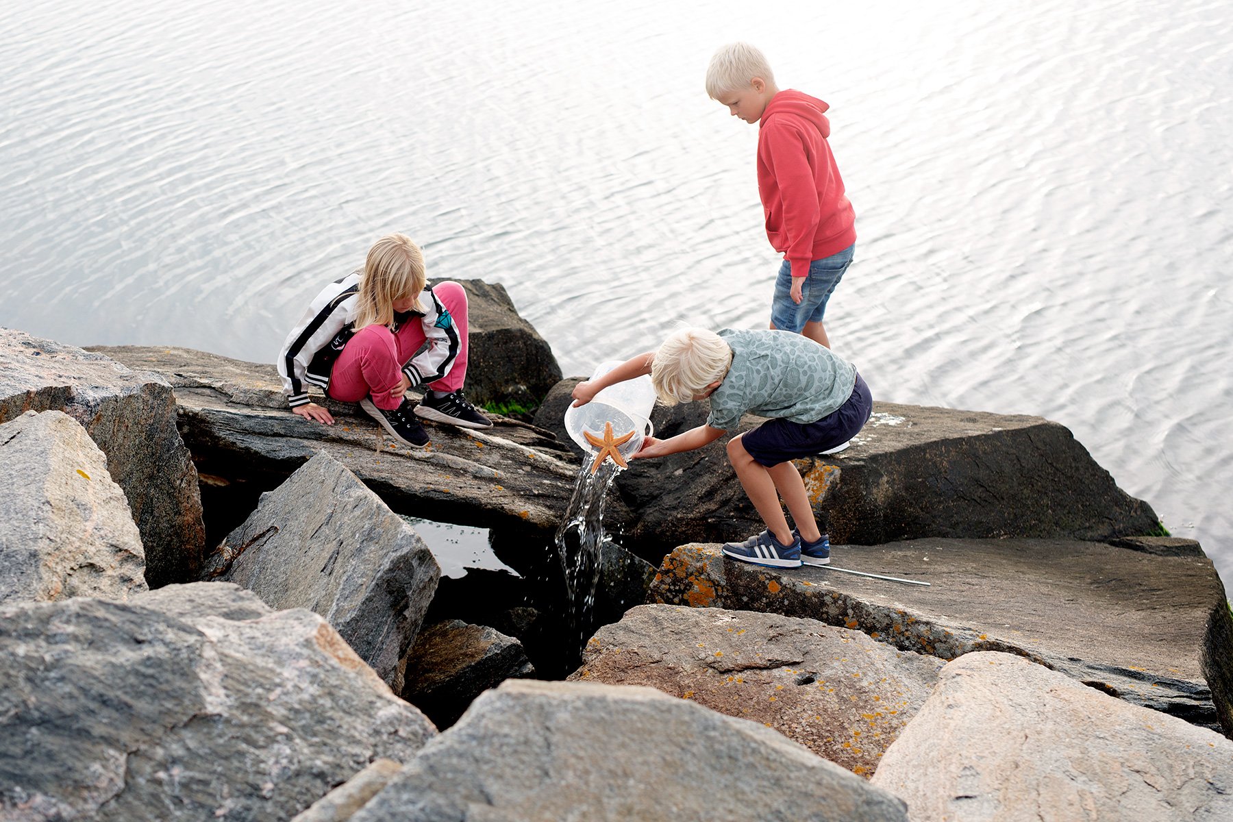 blogg-220827hamnen7.jpg