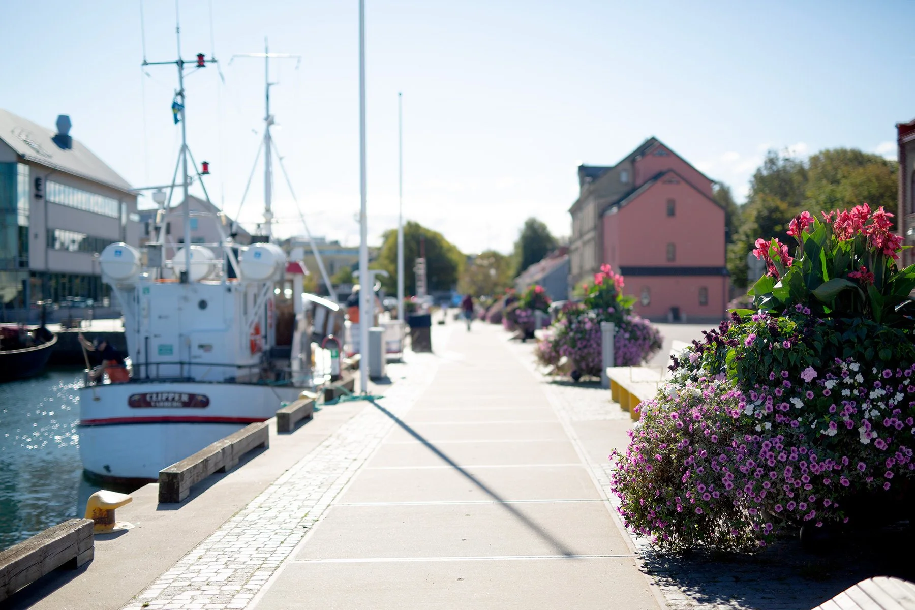 blogg-220903varbergshamn3.jpg
