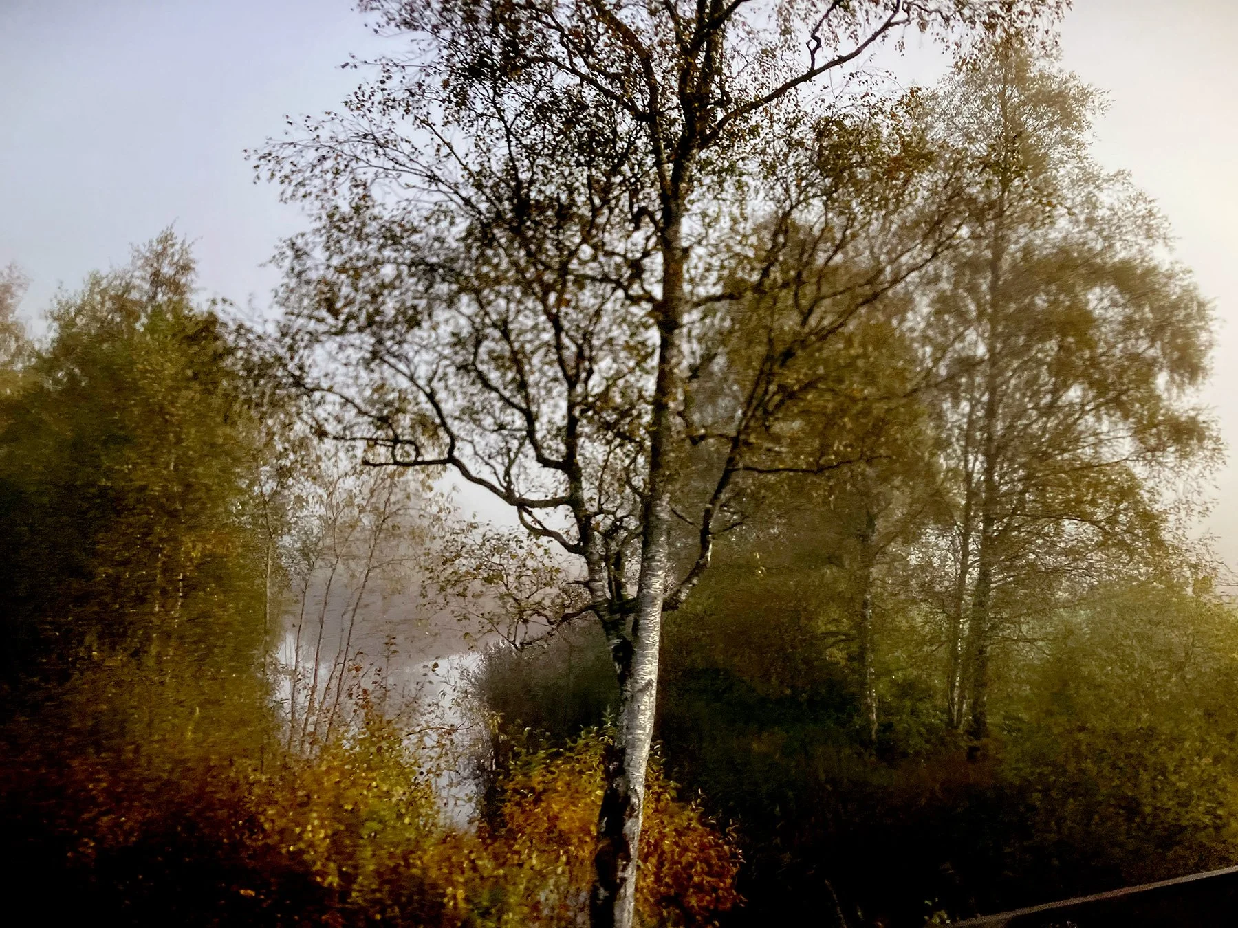 blogg-221003busstillullared5.jpg