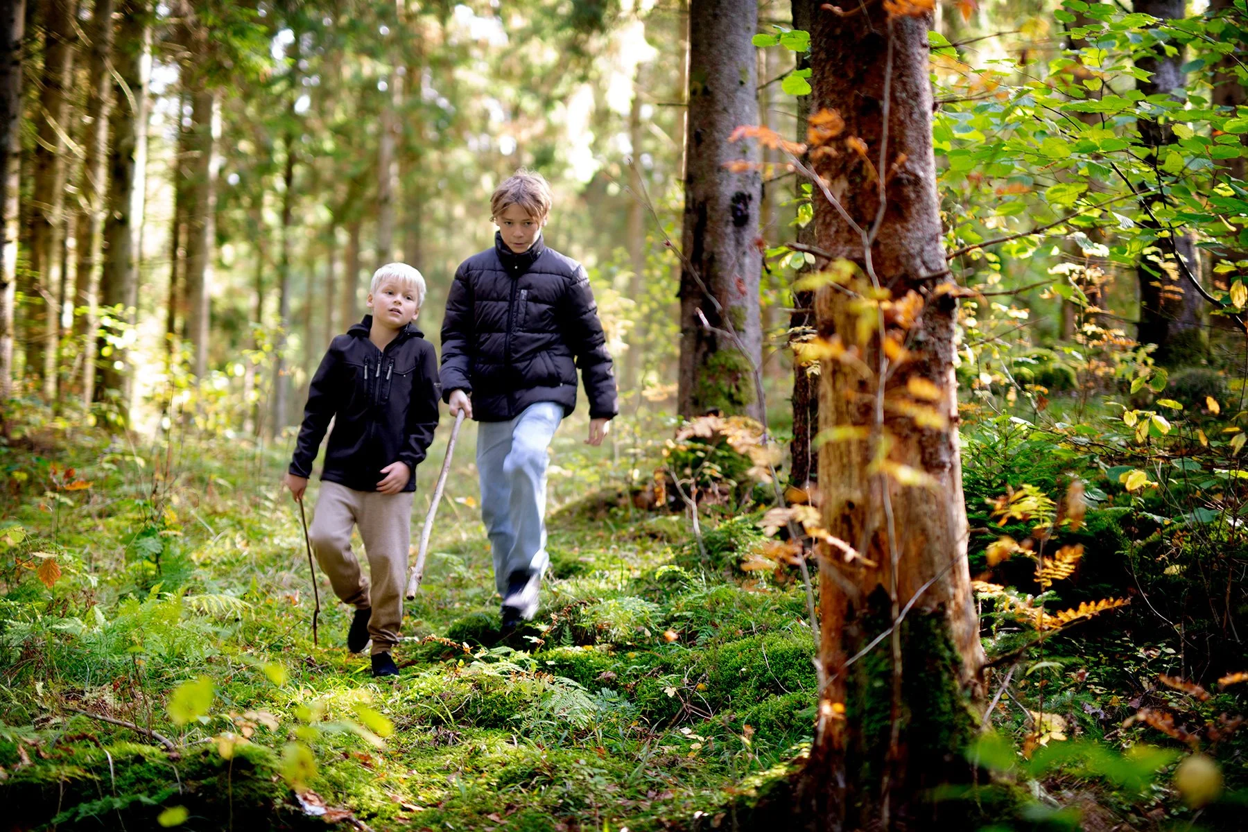 blogg-221009skogen4.jpg