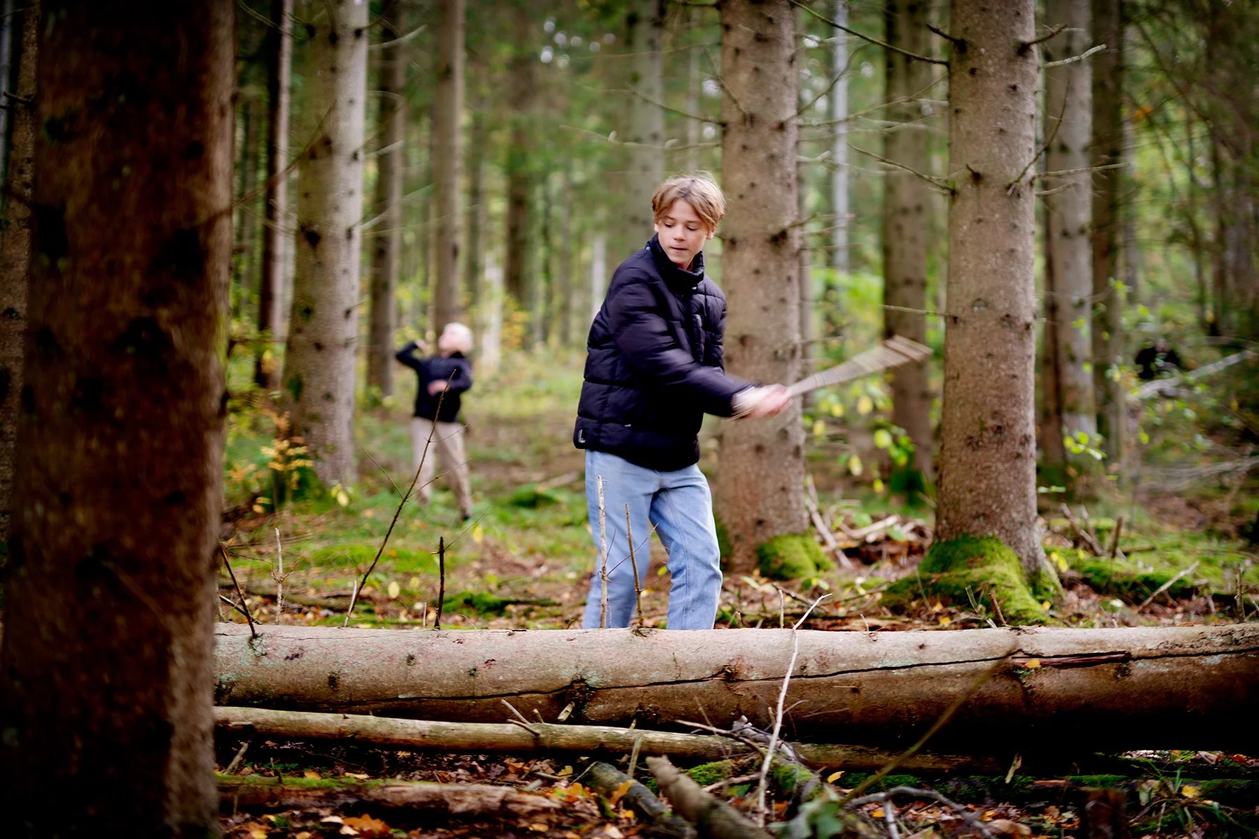 blogg-221009skogen6.jpg
