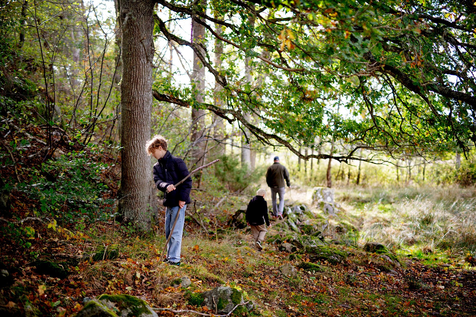 blogg-221009skogen10.jpg