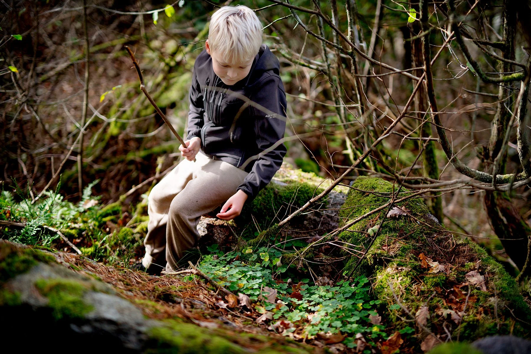 blogg-221009skogen12.jpg