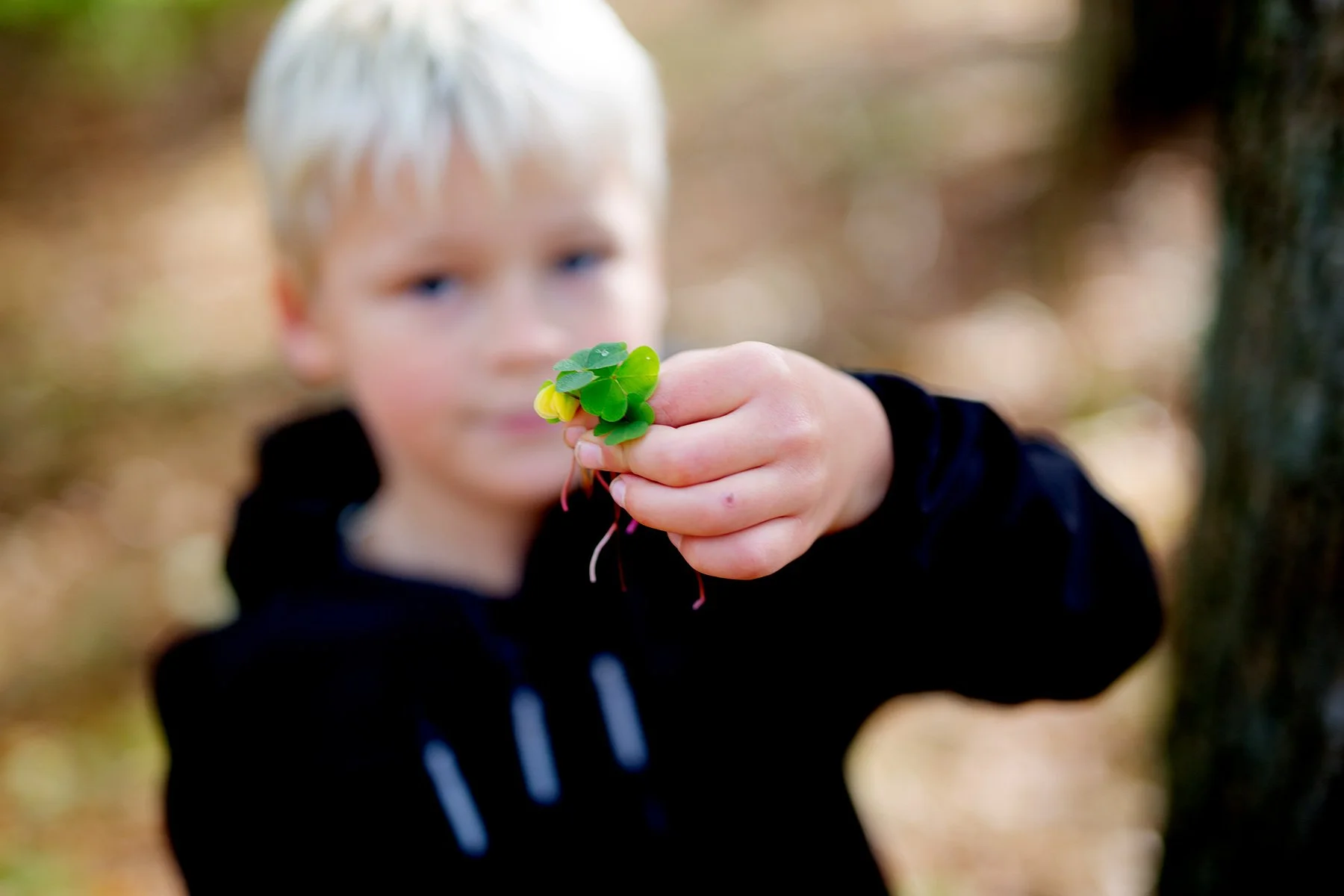 blogg-221009skogen14.jpg