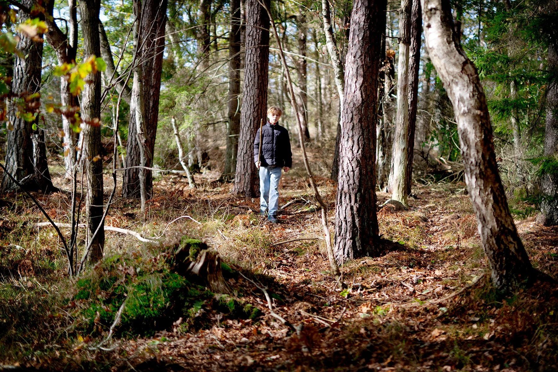 blogg-221009skogen13.jpg