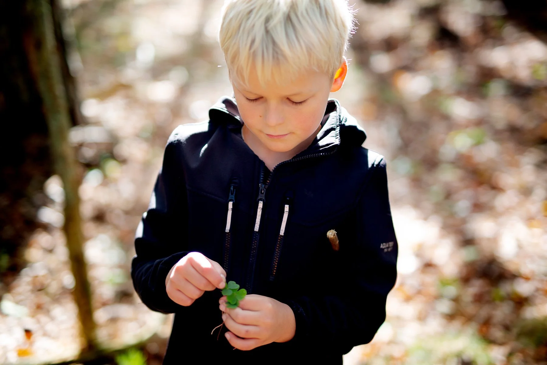 blogg-221009skogen15.jpg