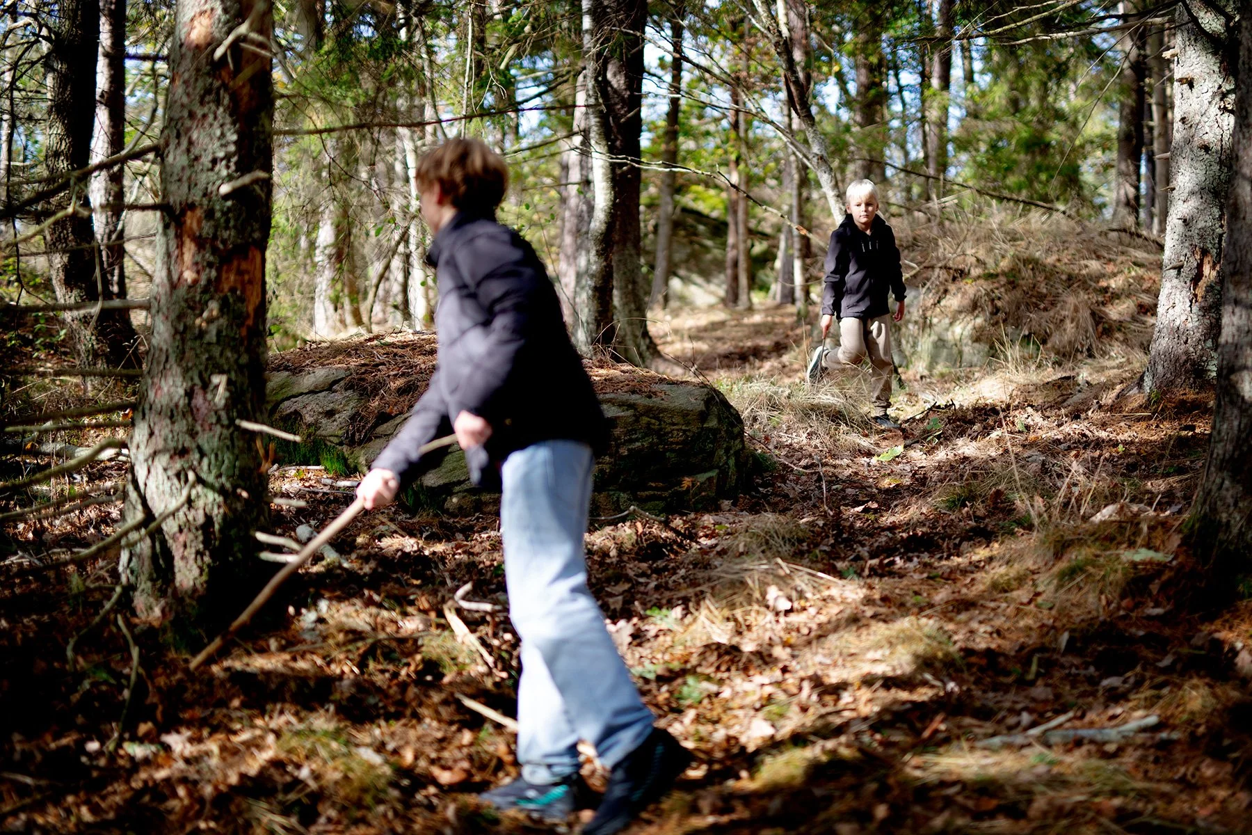 blogg-221009skogen16.jpg