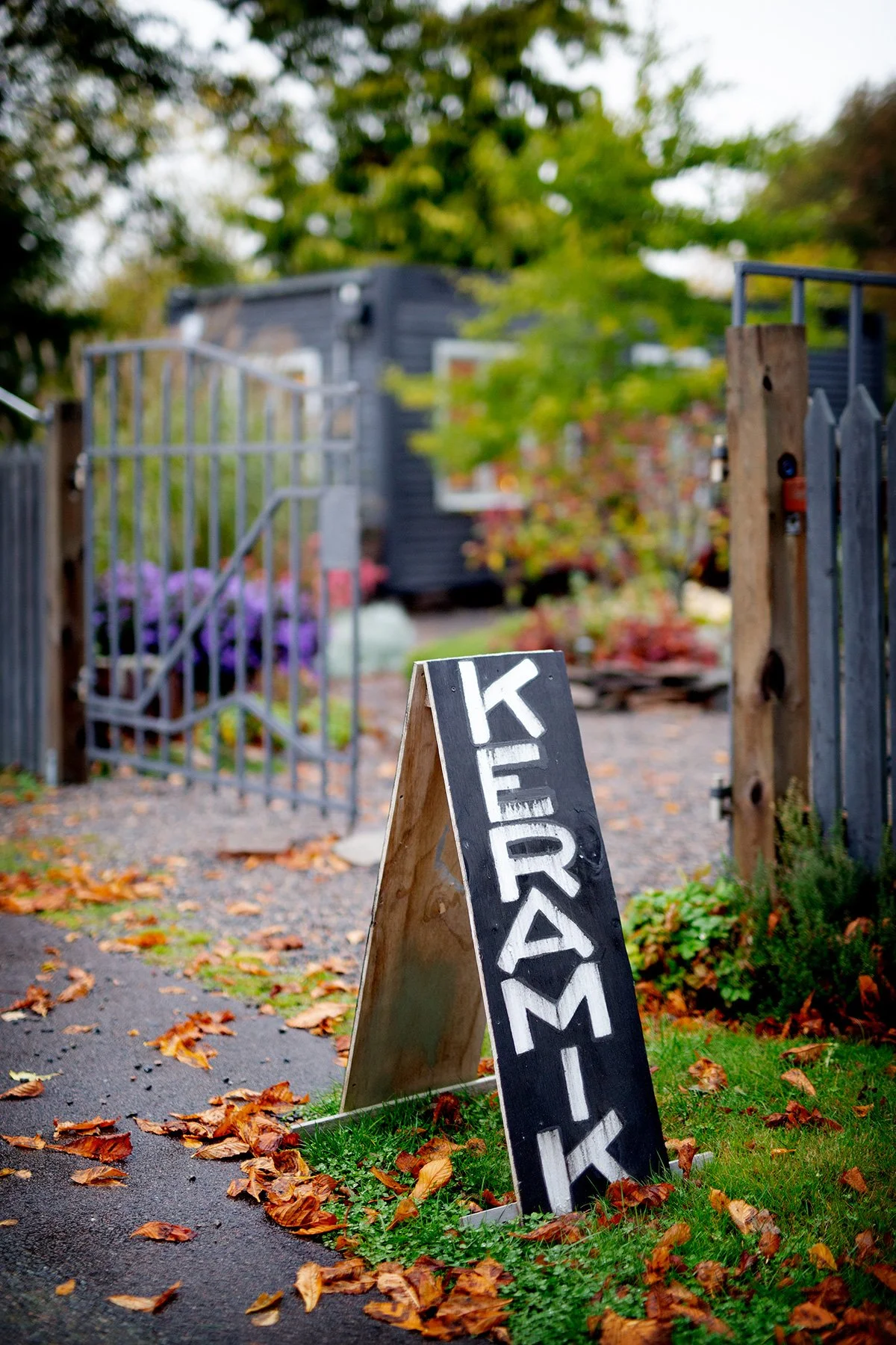 blogg-221015tammysrakukurs1.jpg