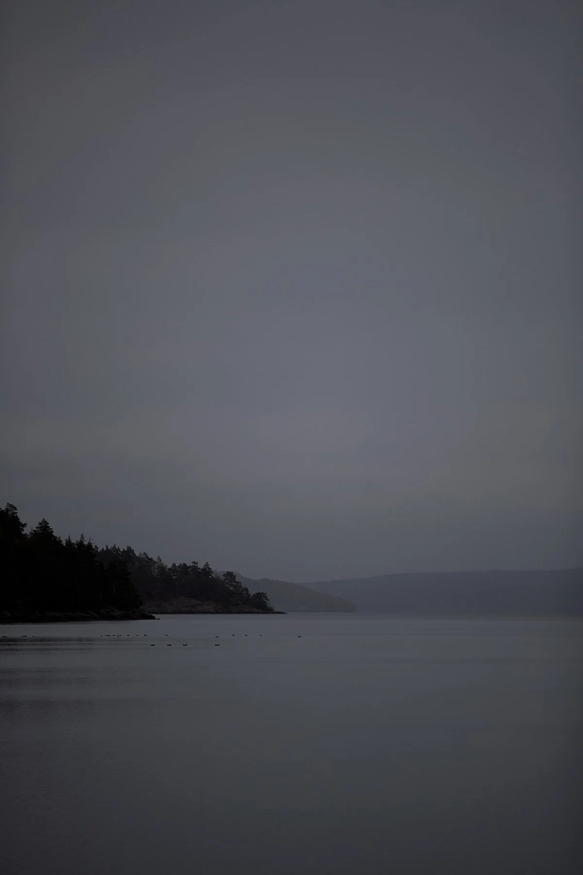 blogg-221017fjarasbracka4.jpg