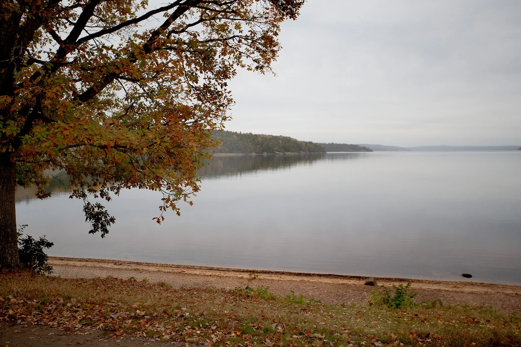 blogg-221017fjarasbracka3.jpg